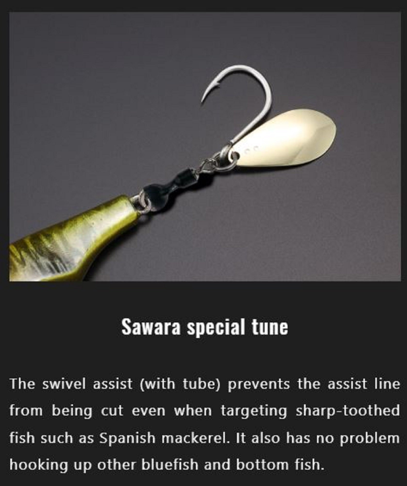 Lure Haven Singapore