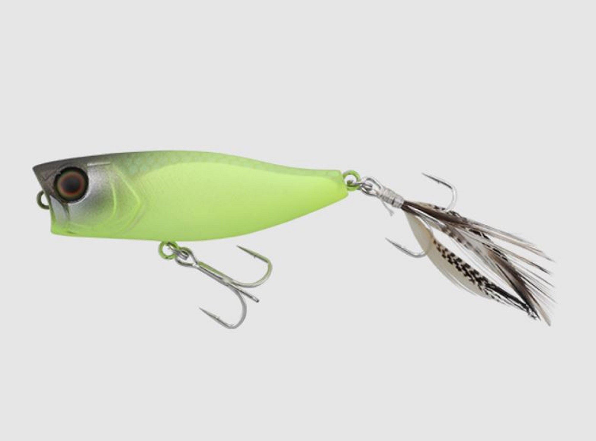 Lure Haven Singapore