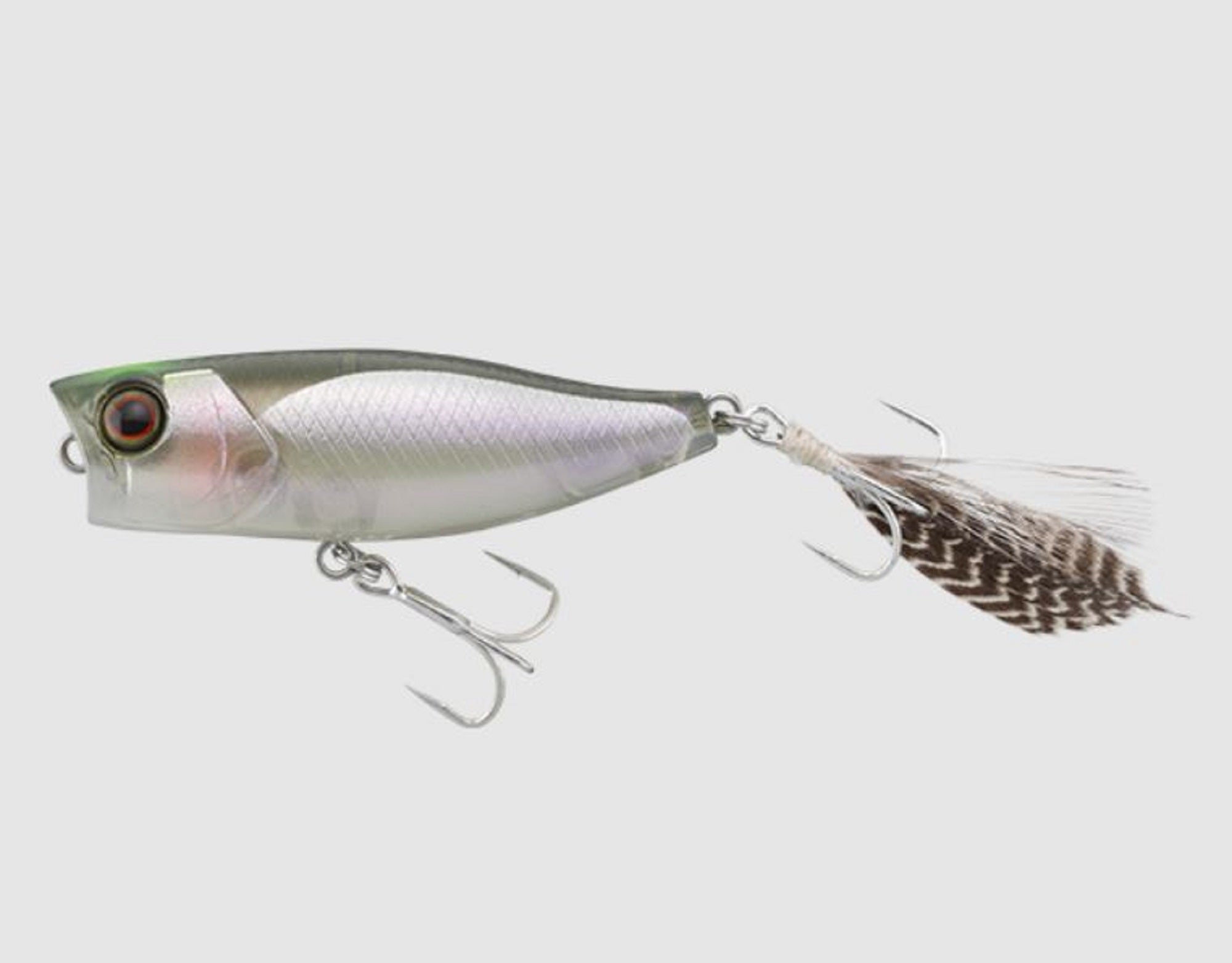 Lure Haven Singapore