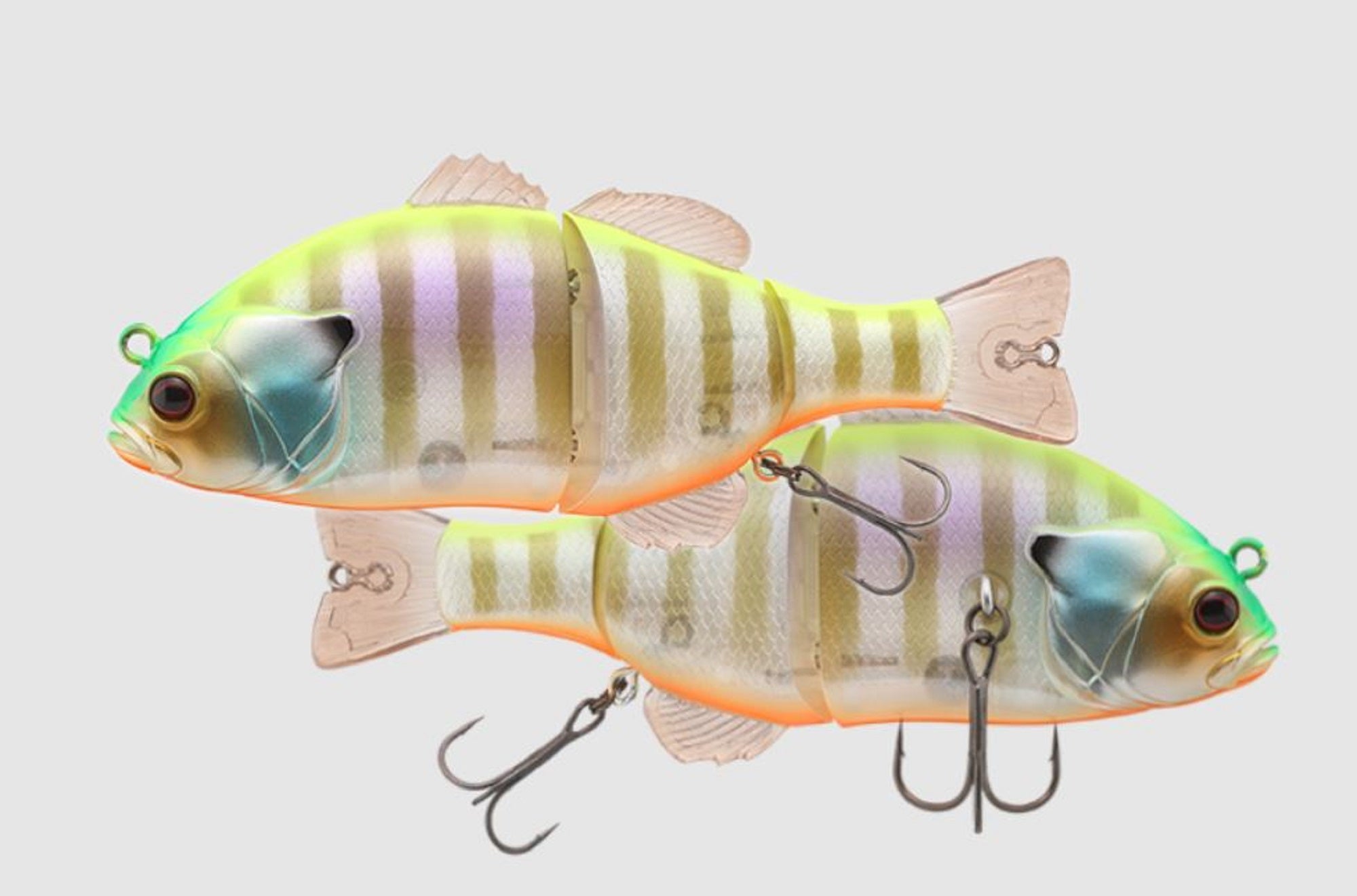 Lure Haven Singapore