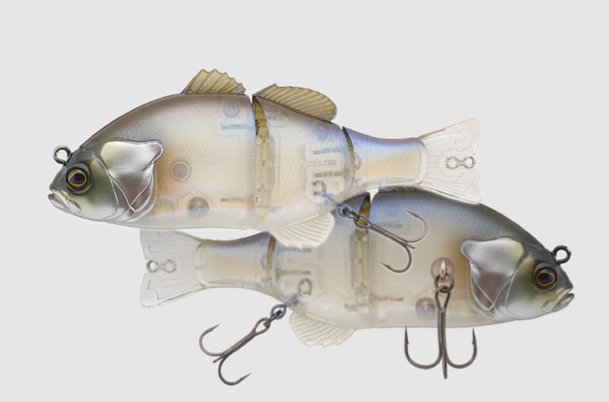 Lure Haven Singapore