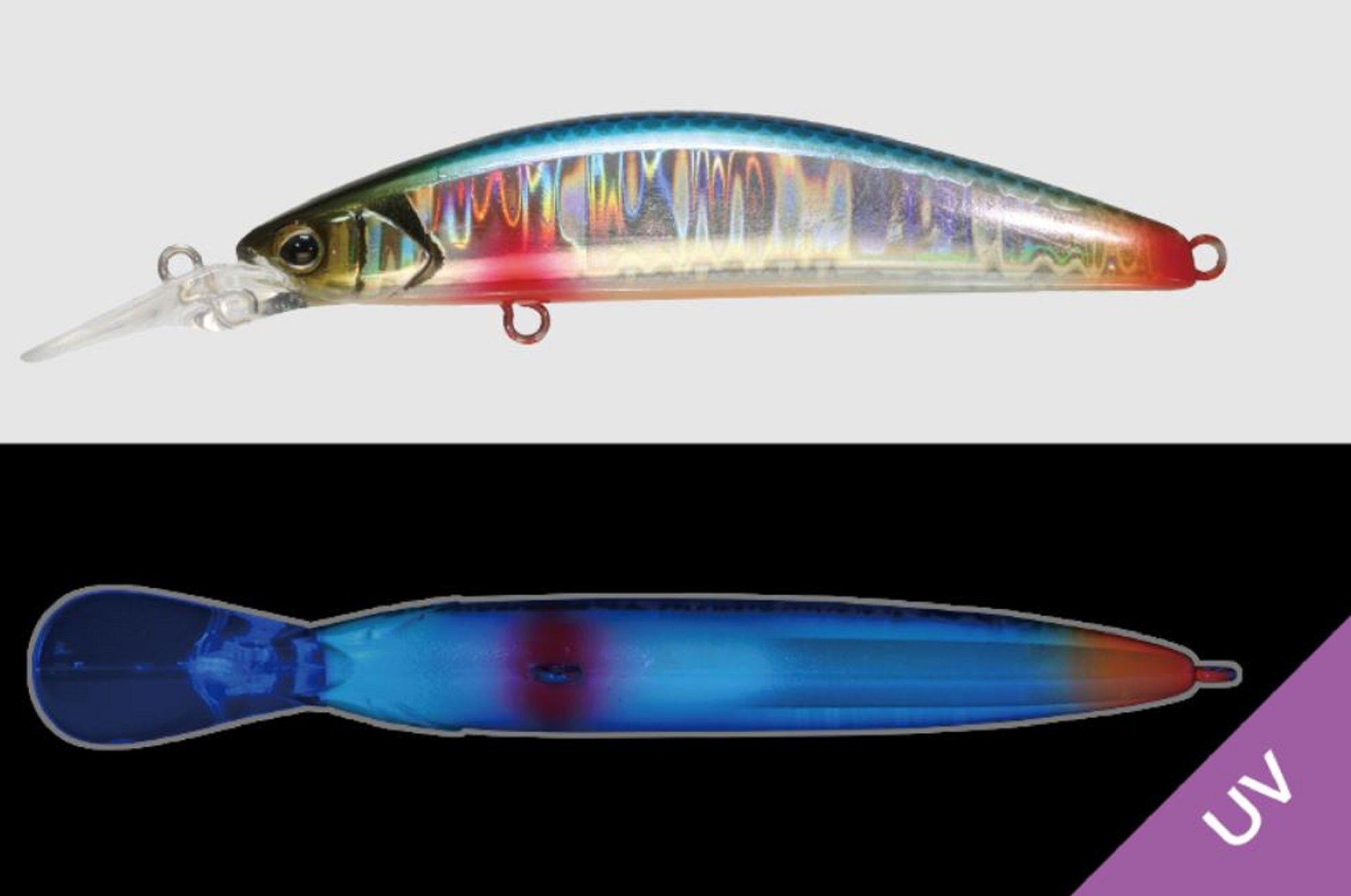 Lure Haven Singapore