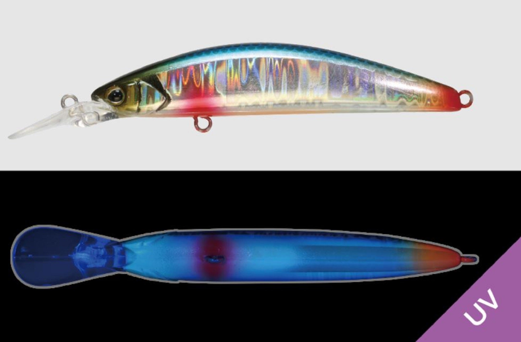 Lure Haven Singapore