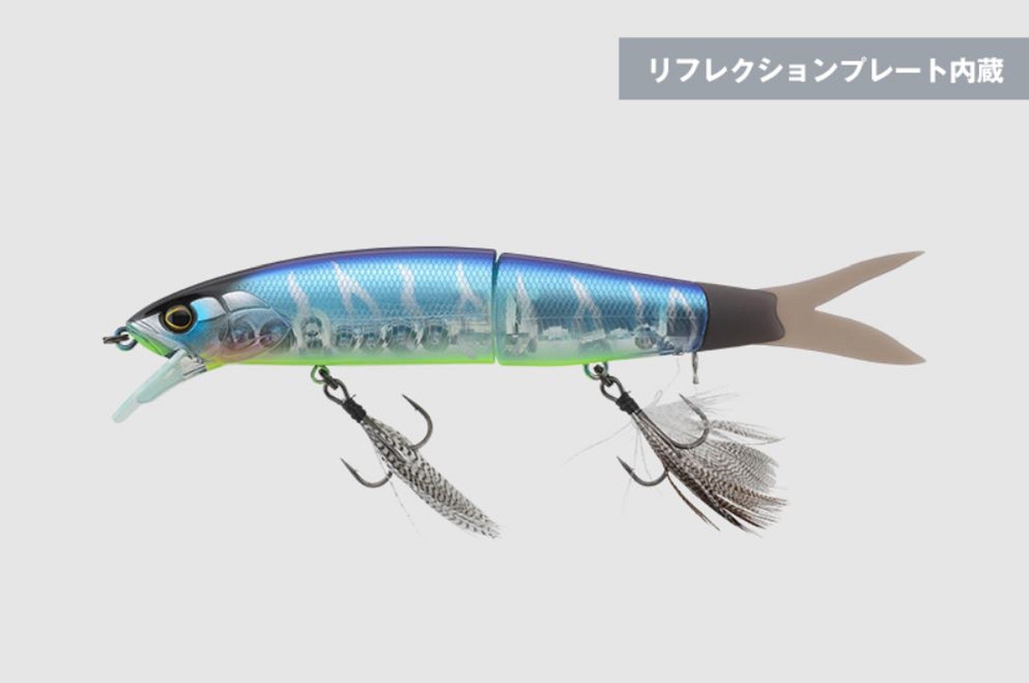 Lure Haven Singapore