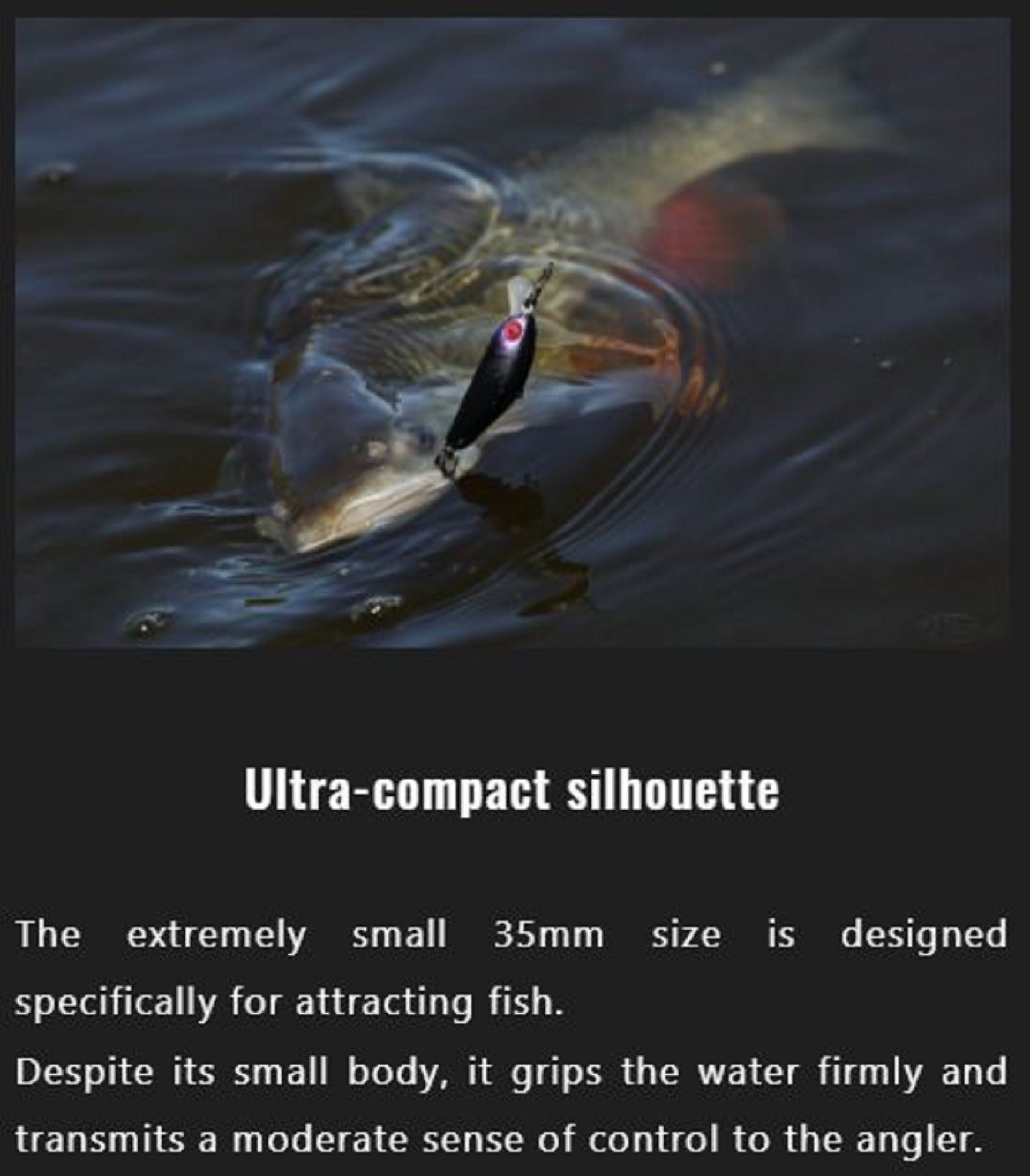 Lure Haven Singapore