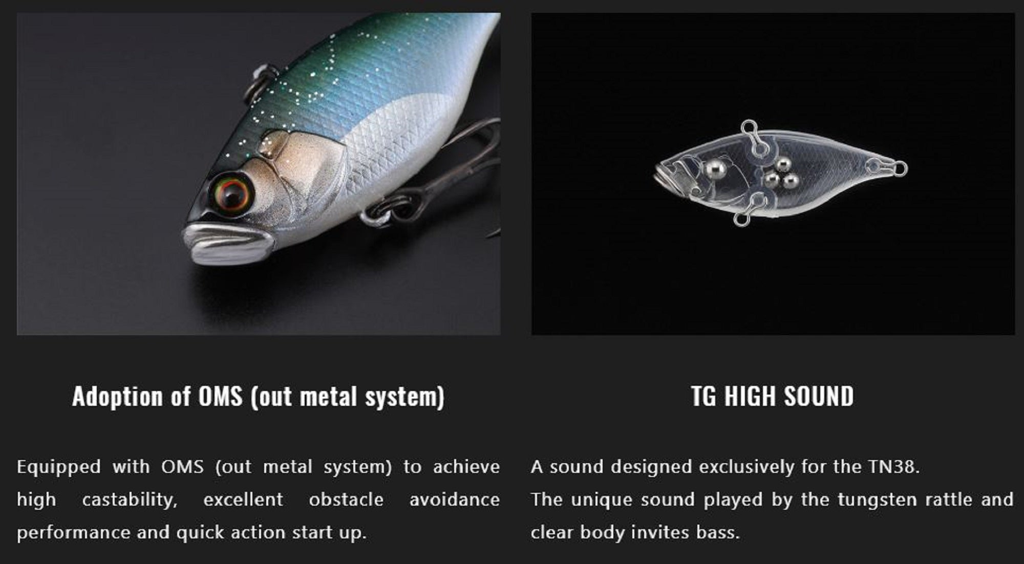 Lure Haven Singapore