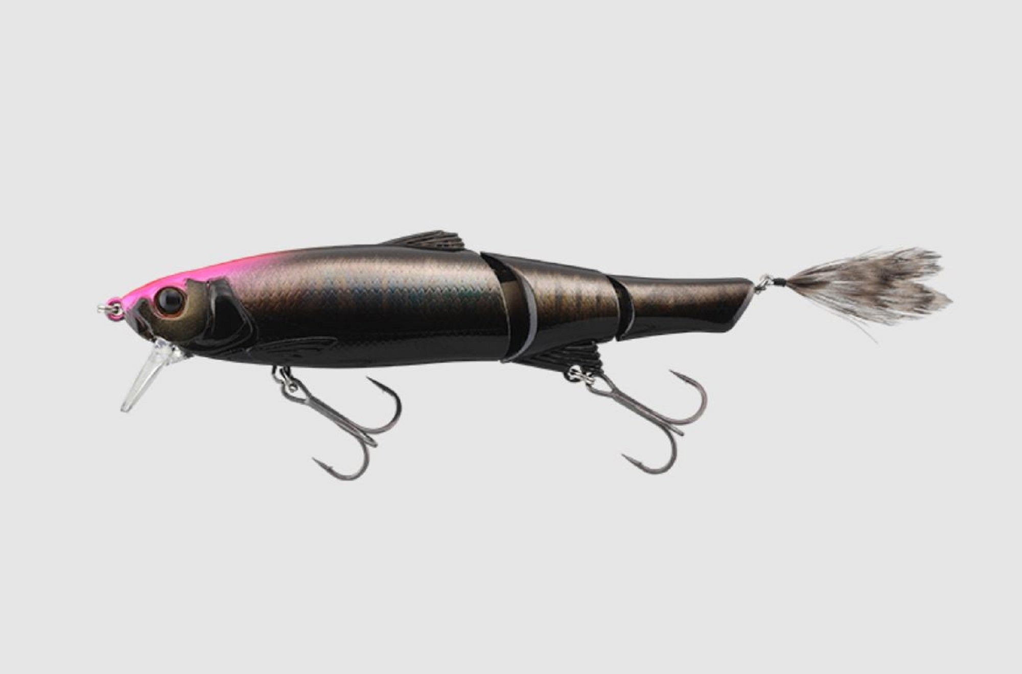 Lure Haven Singapore