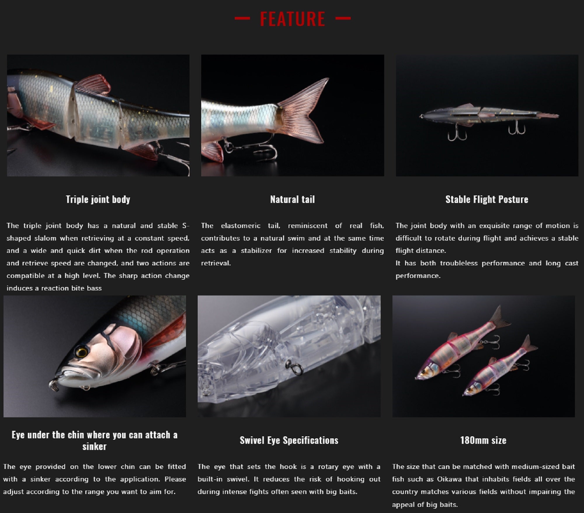 Lure Haven Singapore