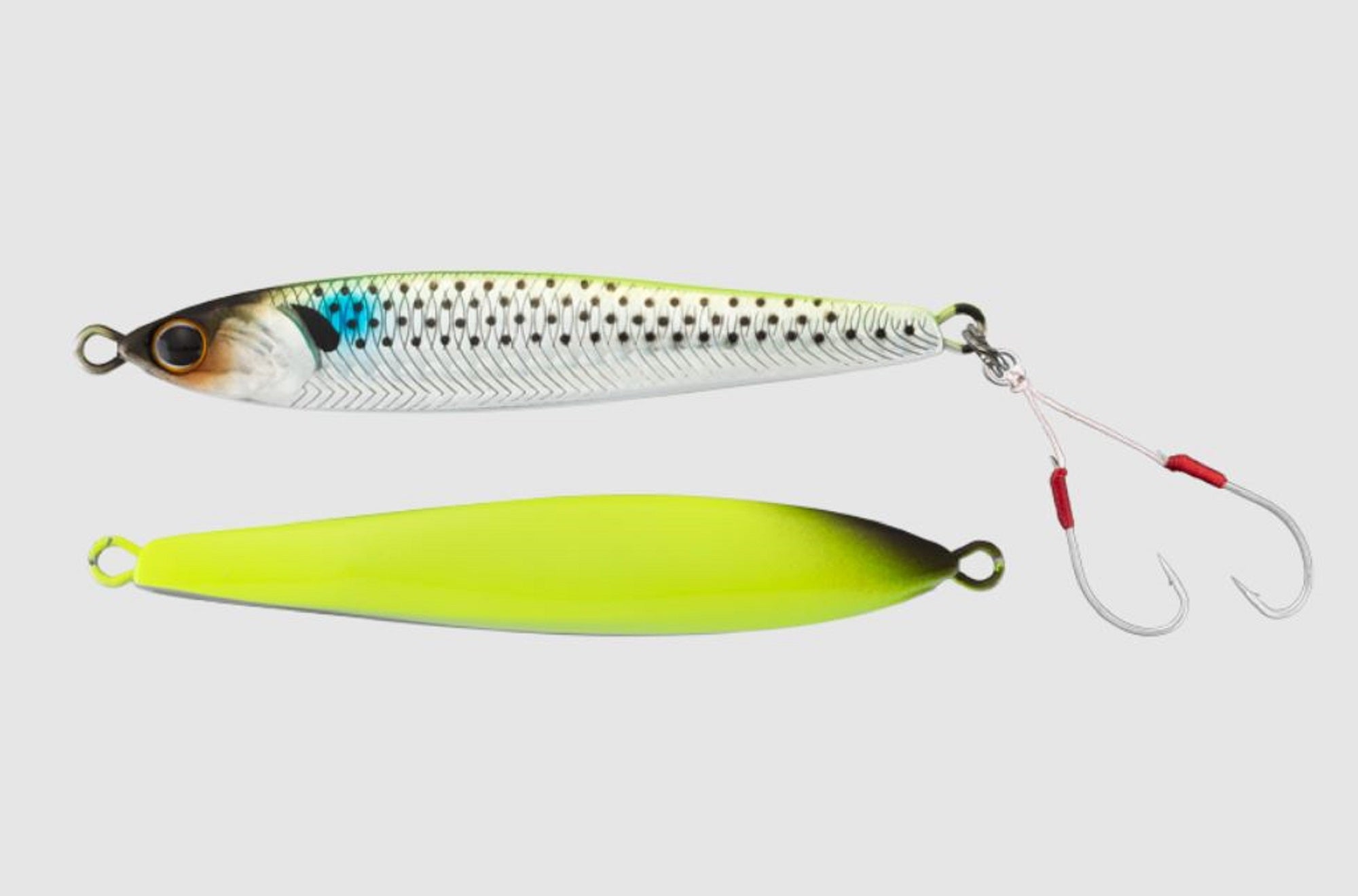 Lure Haven Singapore