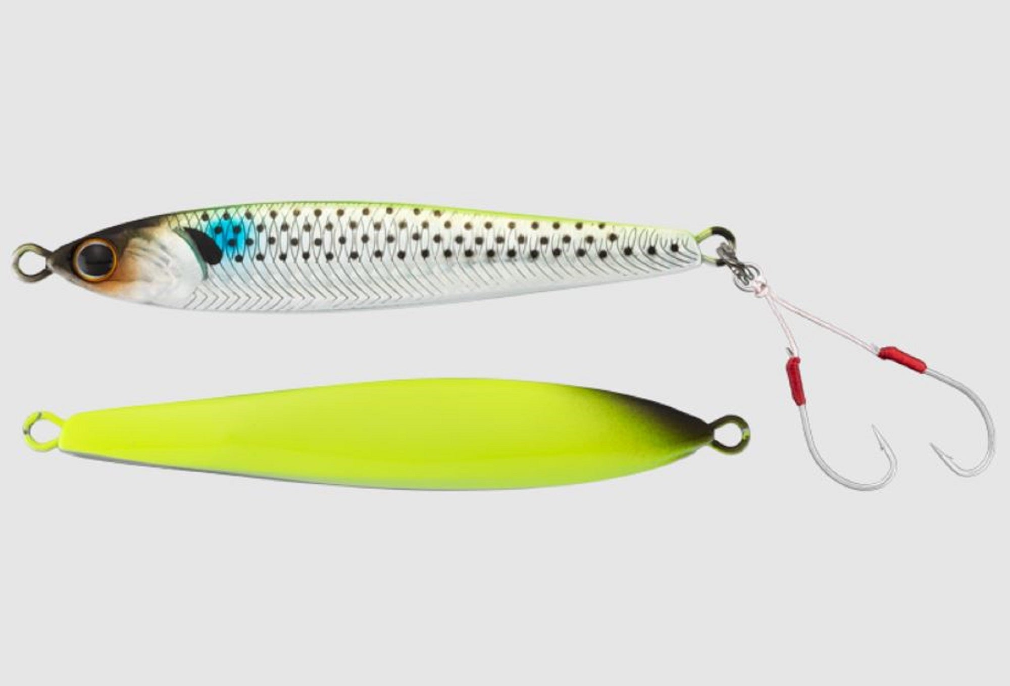 Lure Haven Singapore