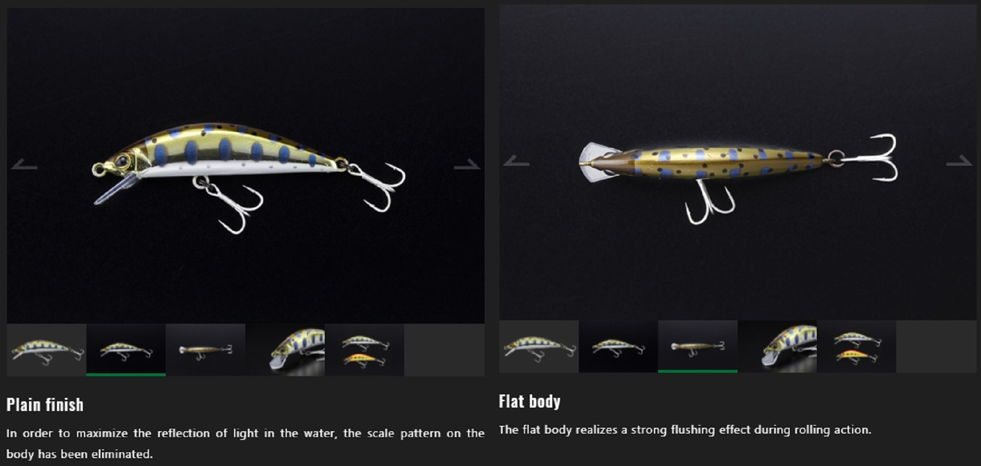 Lure Haven Singapore