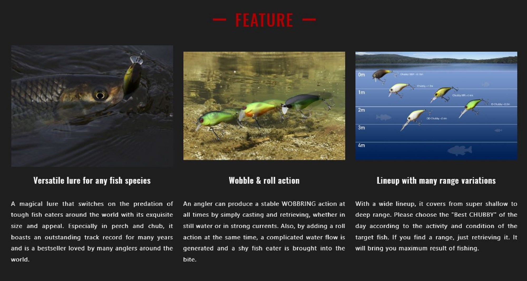 Jackall Chubby 41F Floating Lure Ayu (5636)