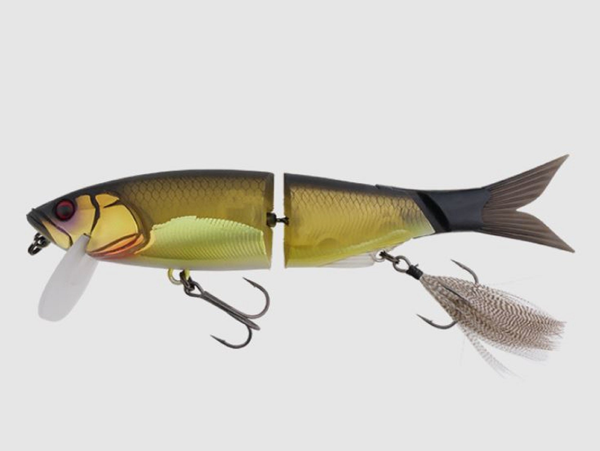 Lure Haven Singapore