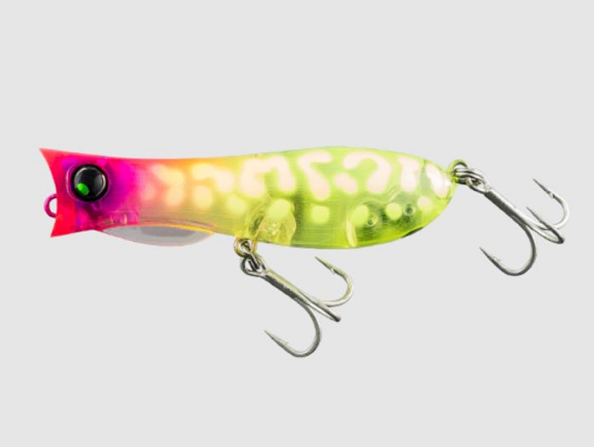 Lure Haven Singapore