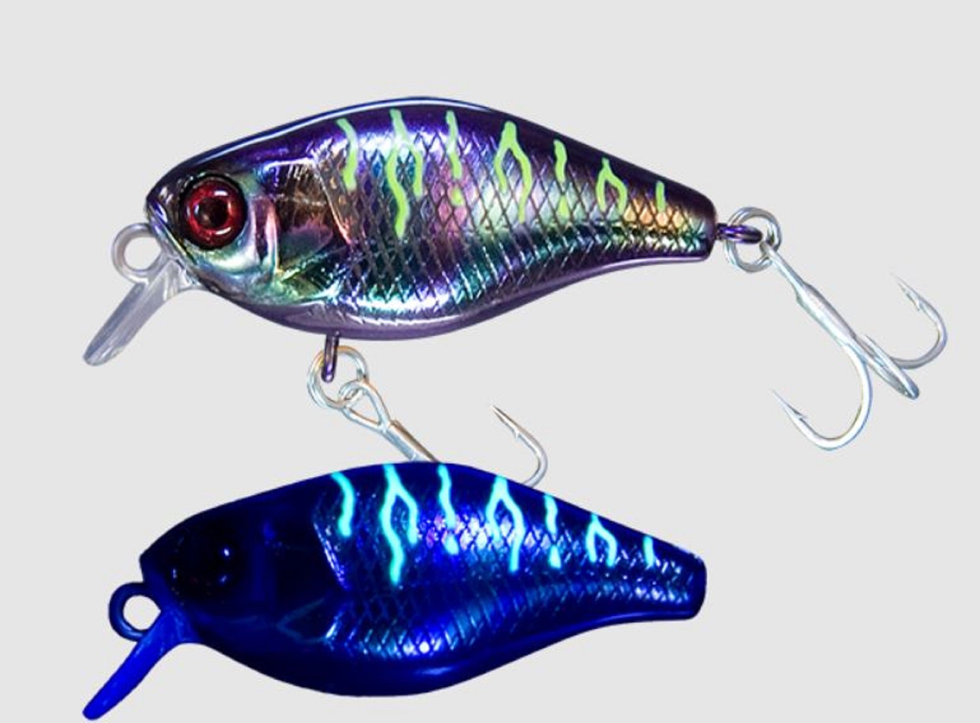 Lure Haven Singapore