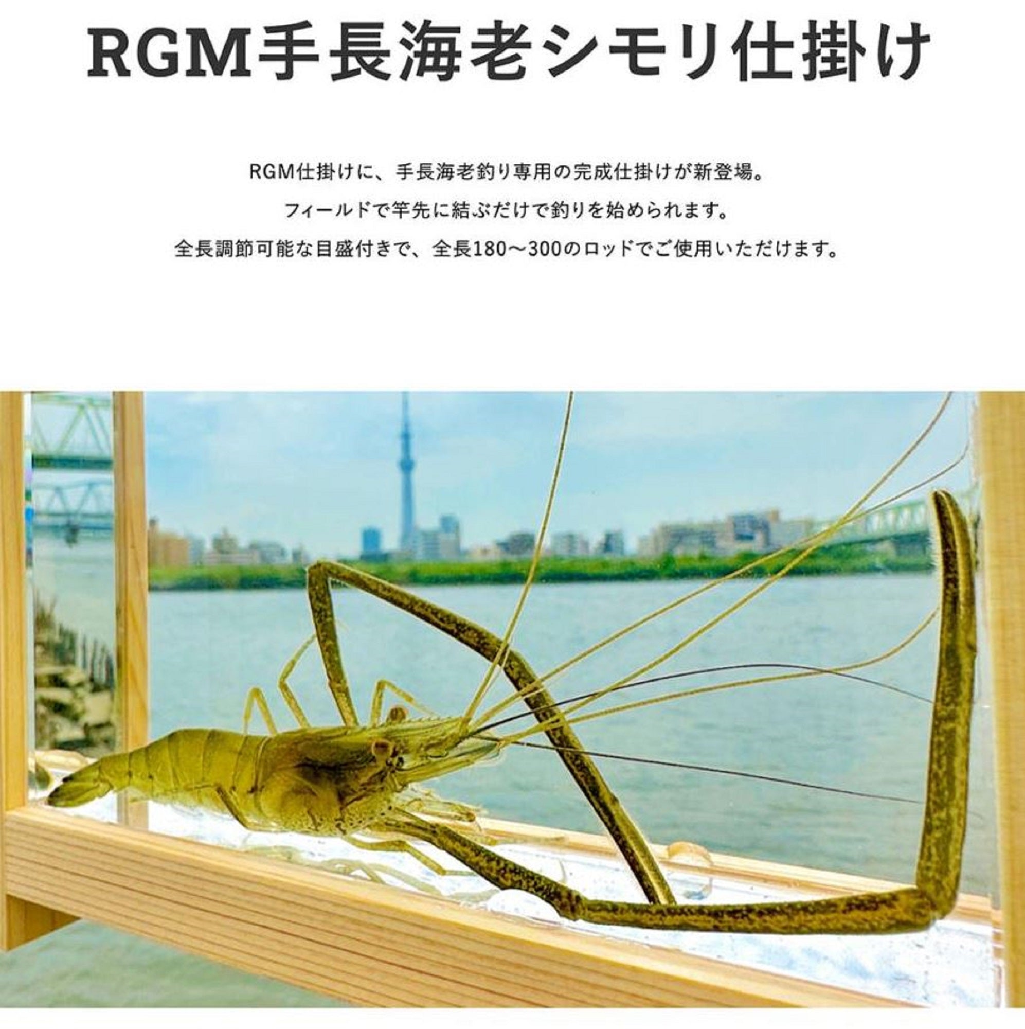 Jackall RGM Tenaga Shrimp Rig Multi (4799)