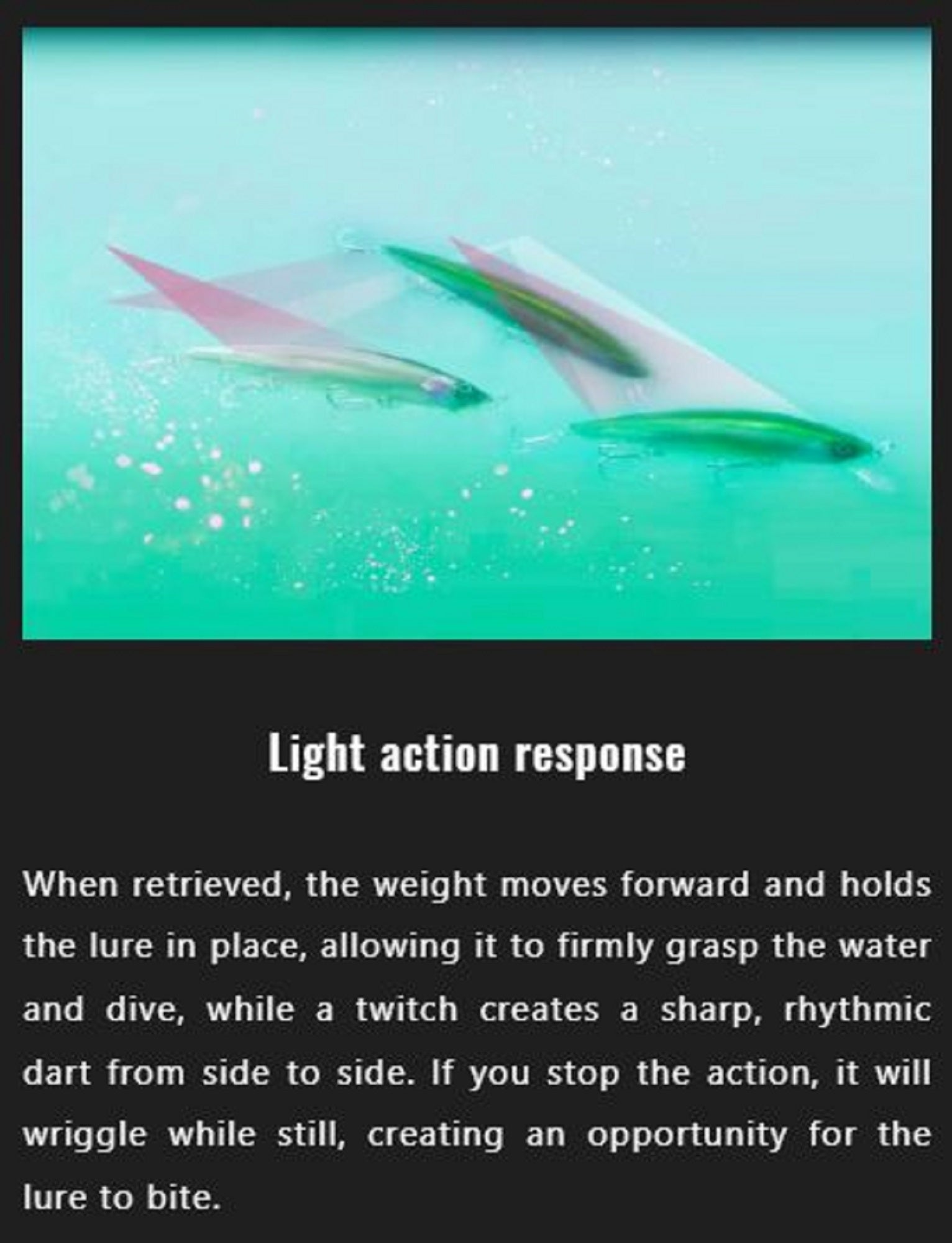 Lure Haven Singapore
