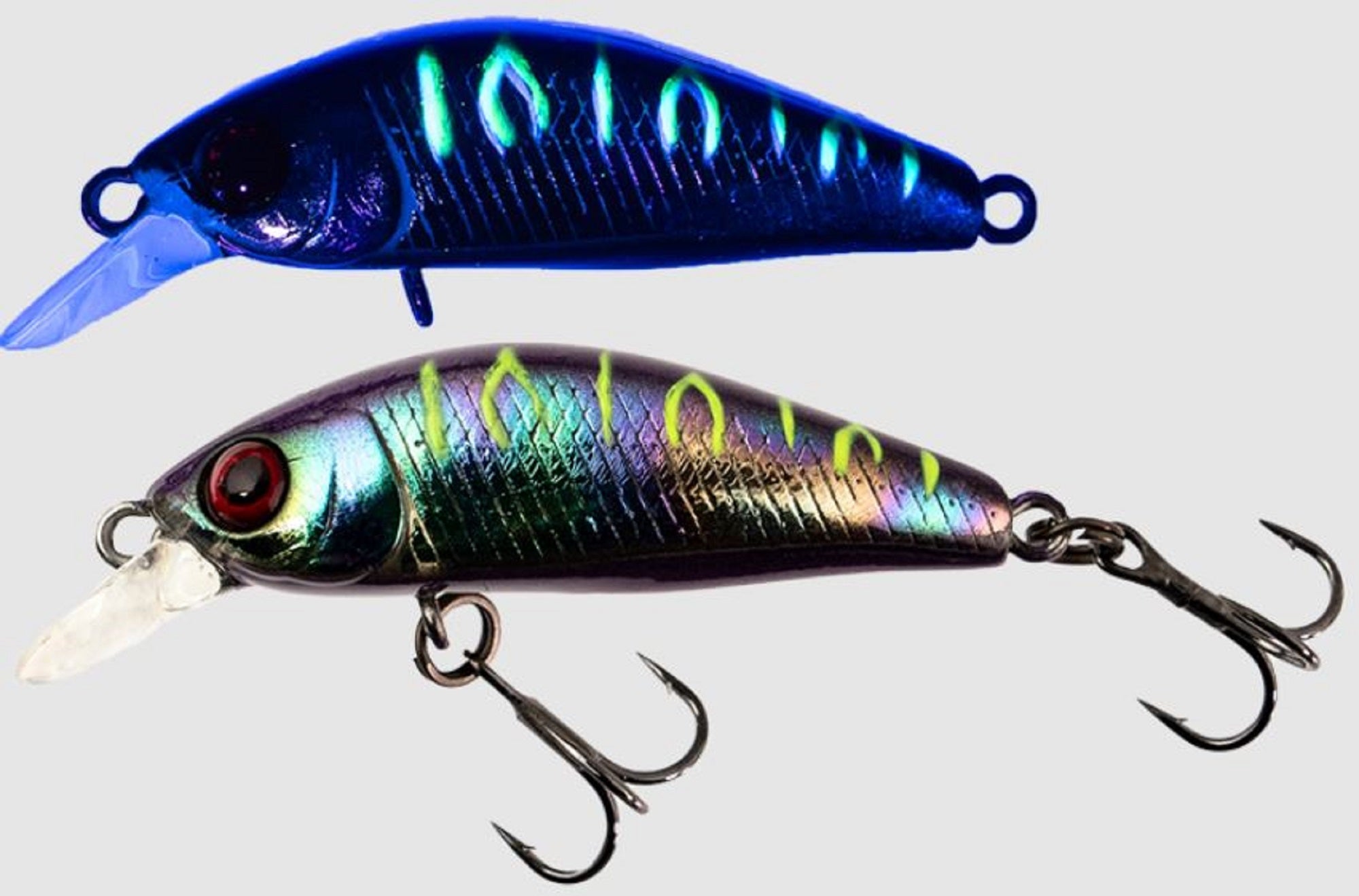 Lure Haven Singapore