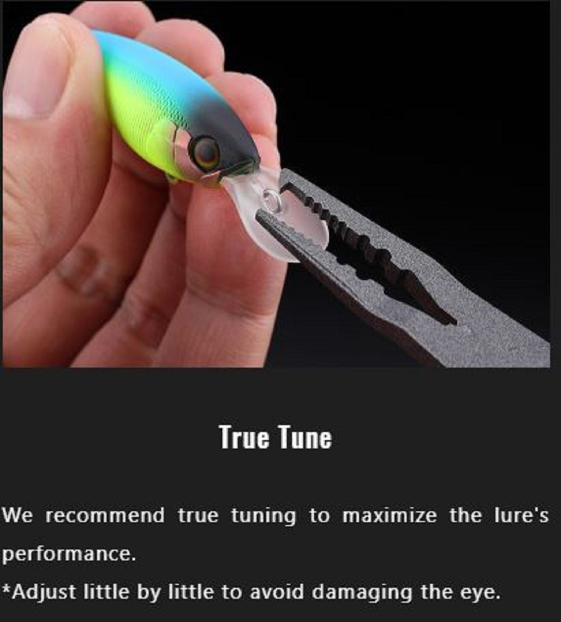 Lure Haven Singapore
