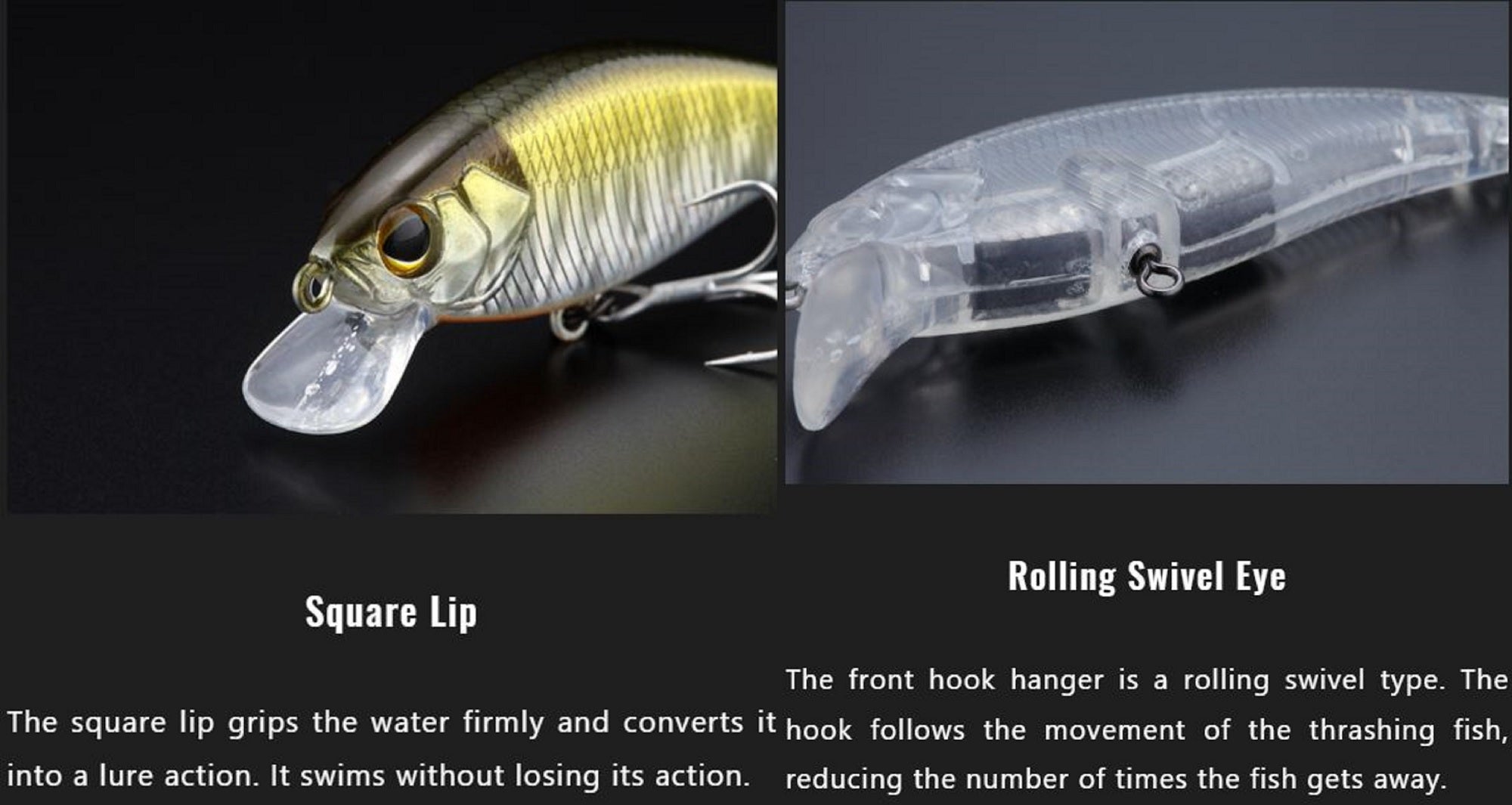 Lure Haven Singapore