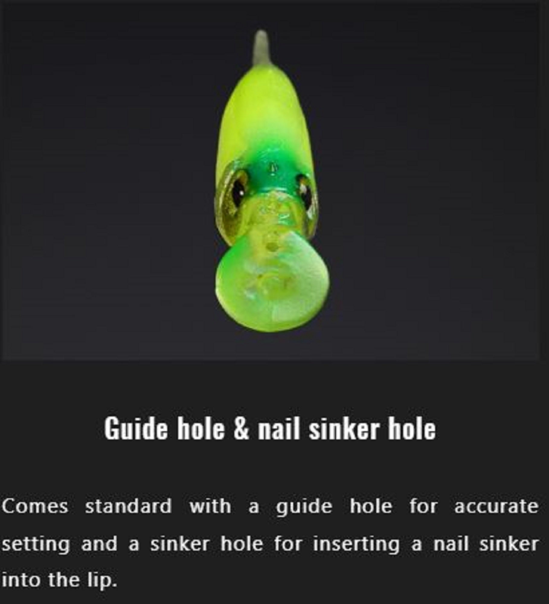 Lure Haven Singapore