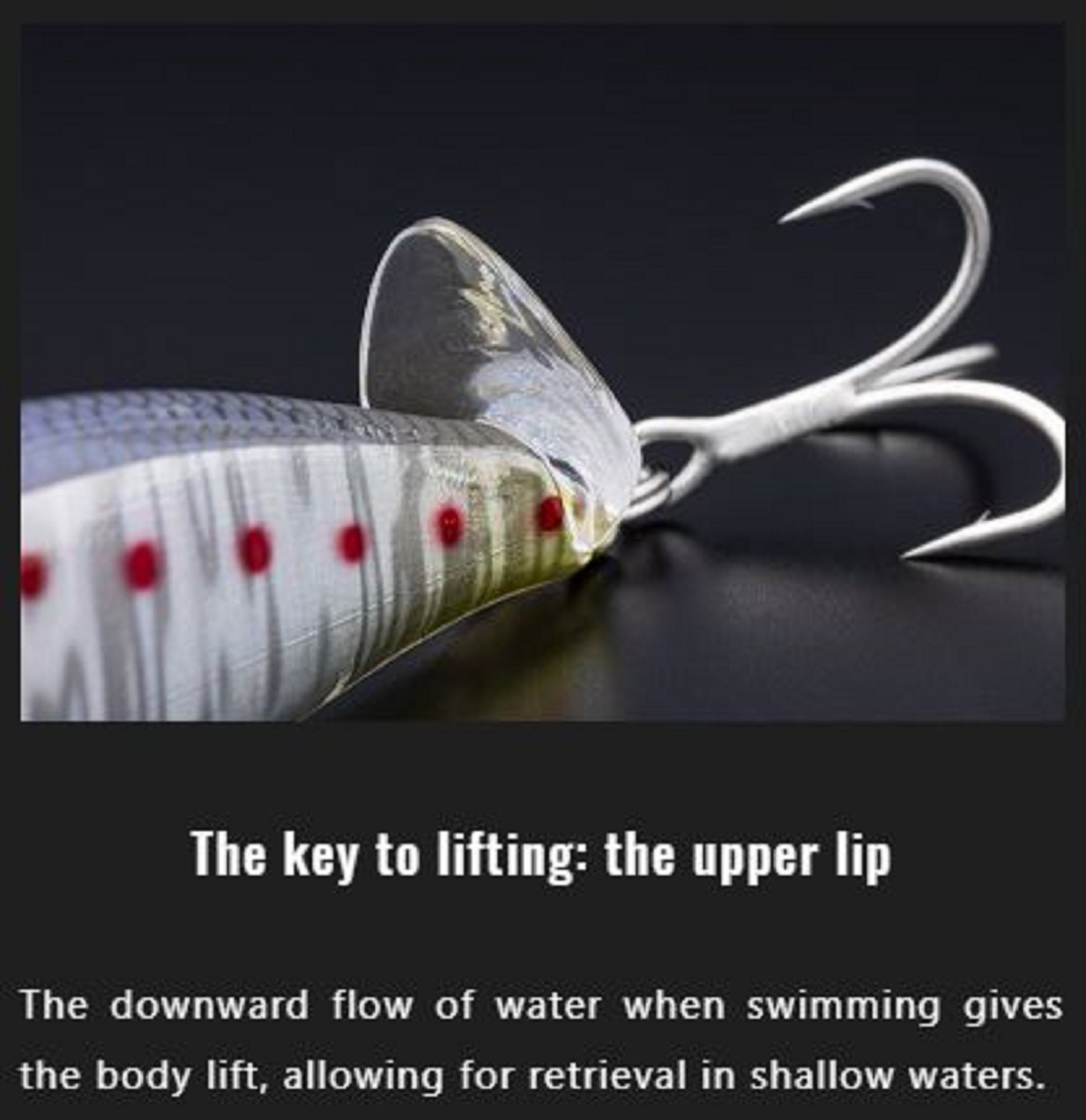 Lure Haven Singapore