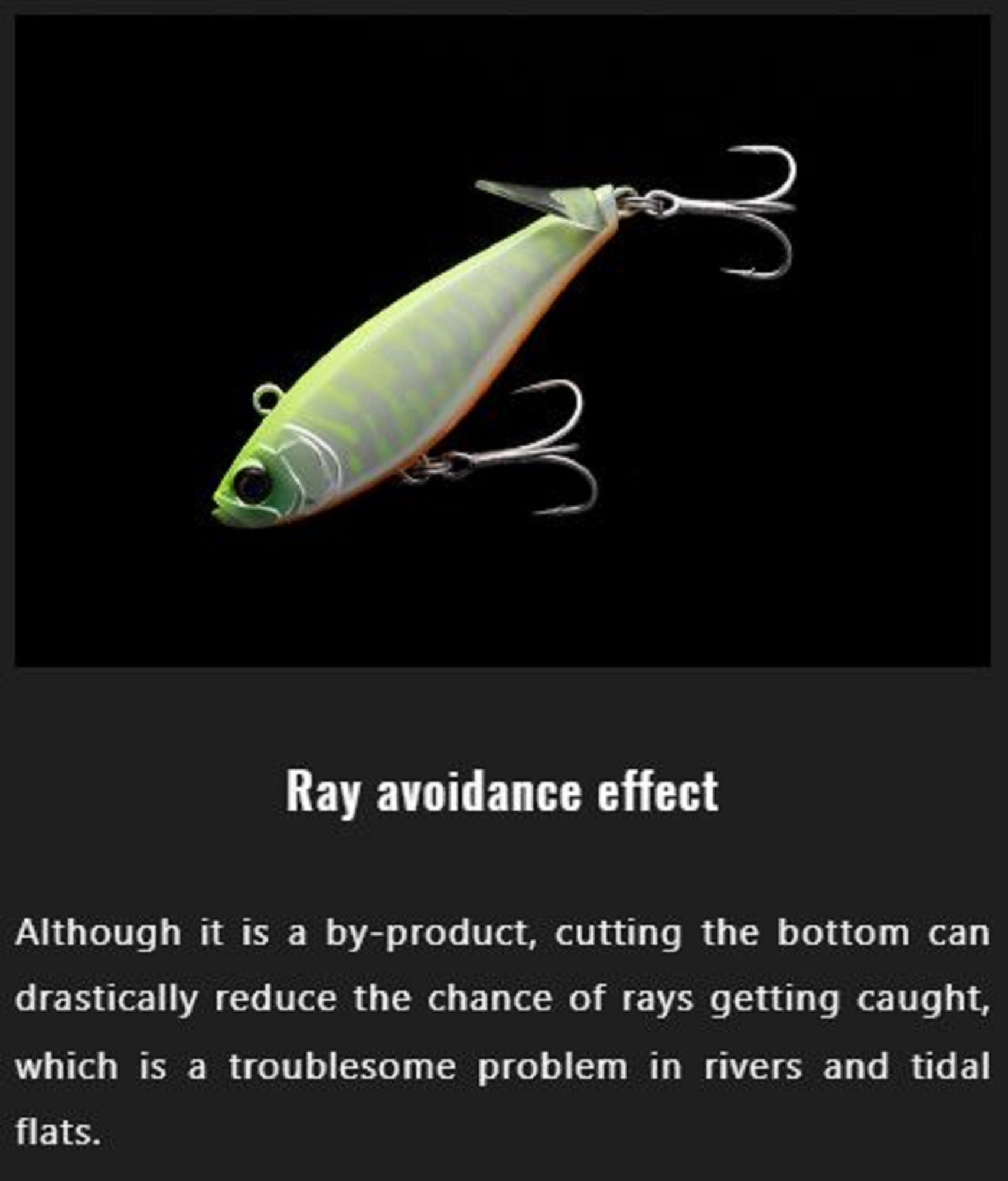 Lure Haven Singapore