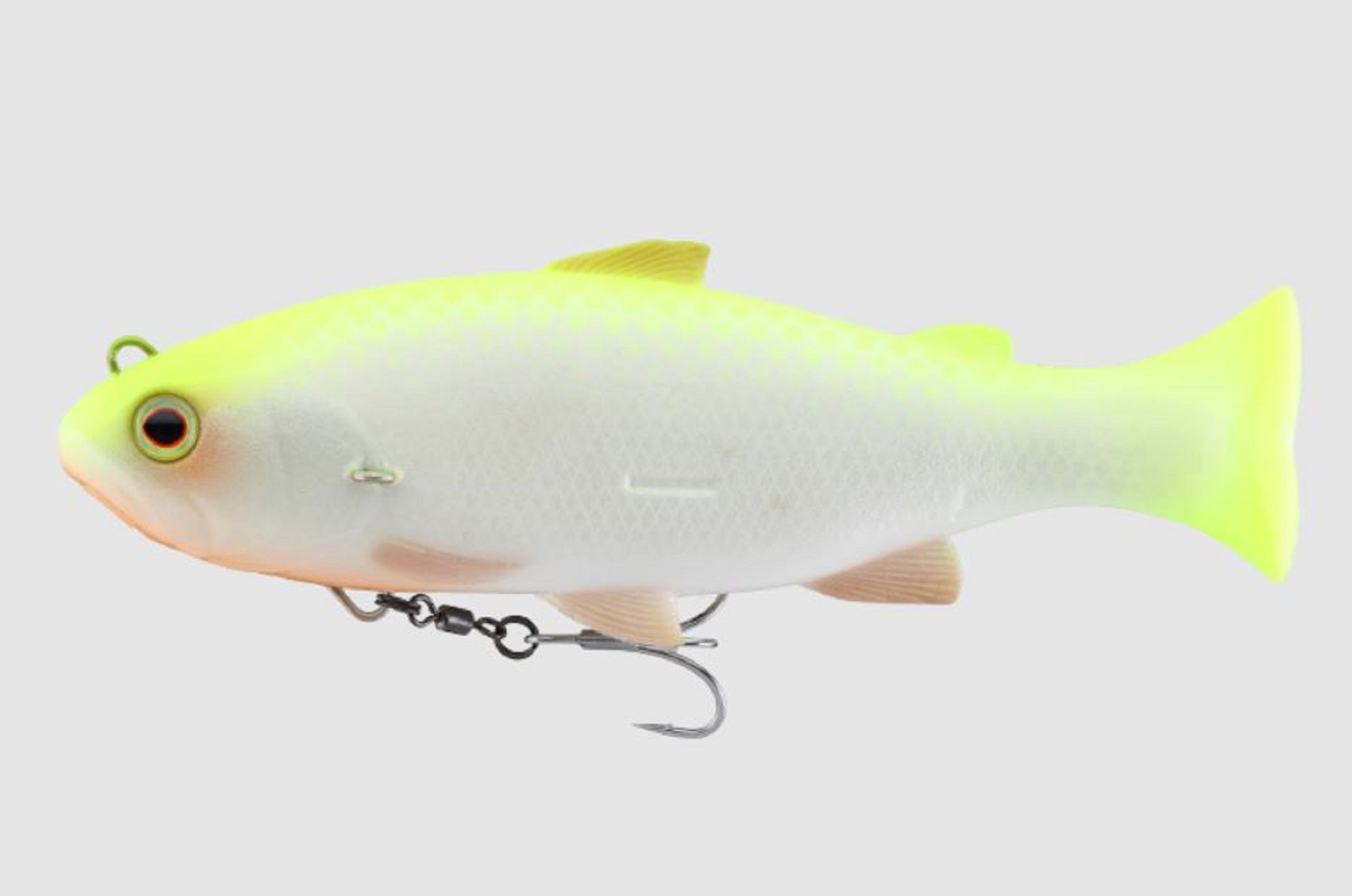 Lure Haven Singapore