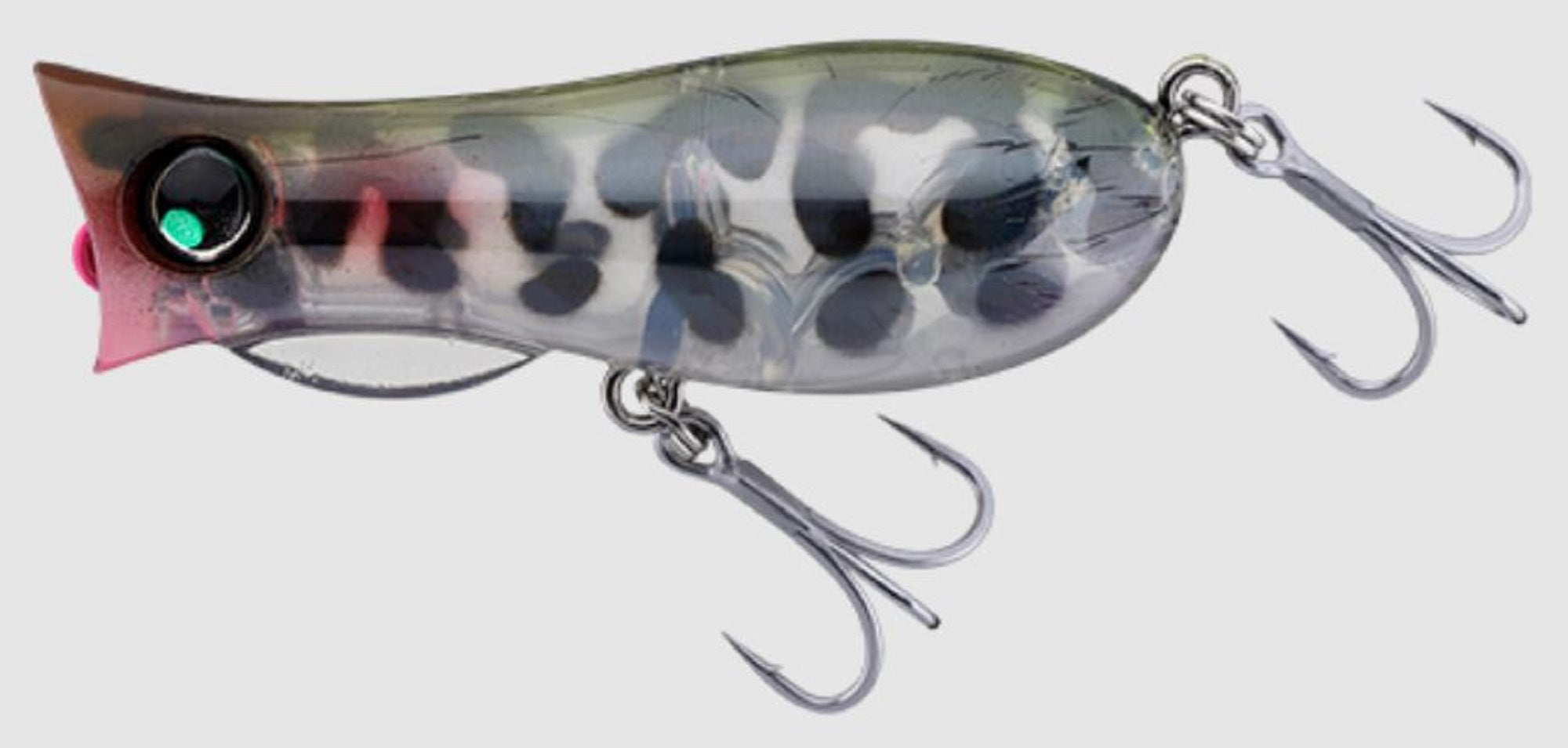 Lure Haven Singapore