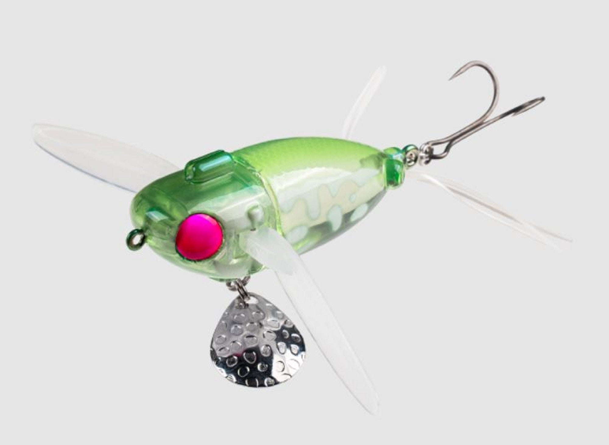Lure Haven Singapore