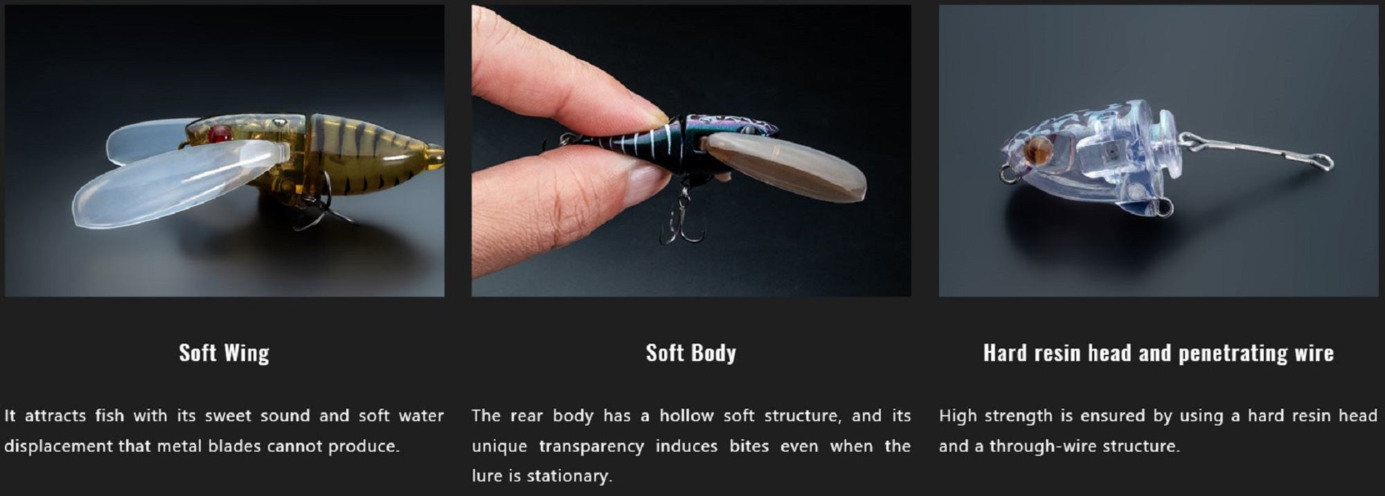 Lure Haven Singapore