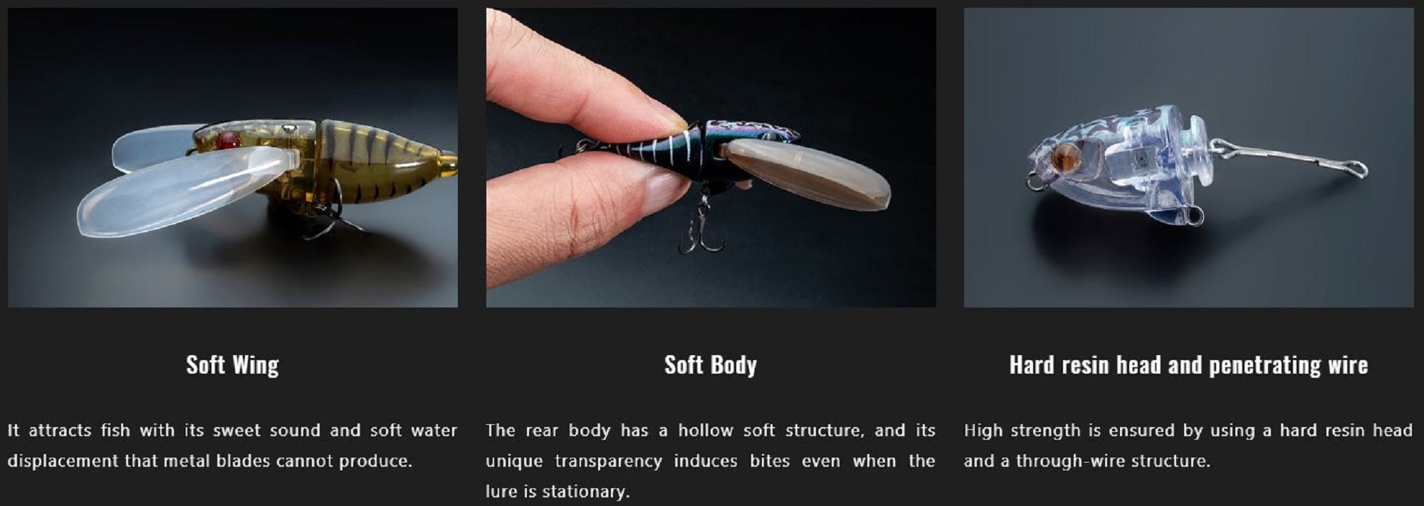 Lure Haven Singapore
