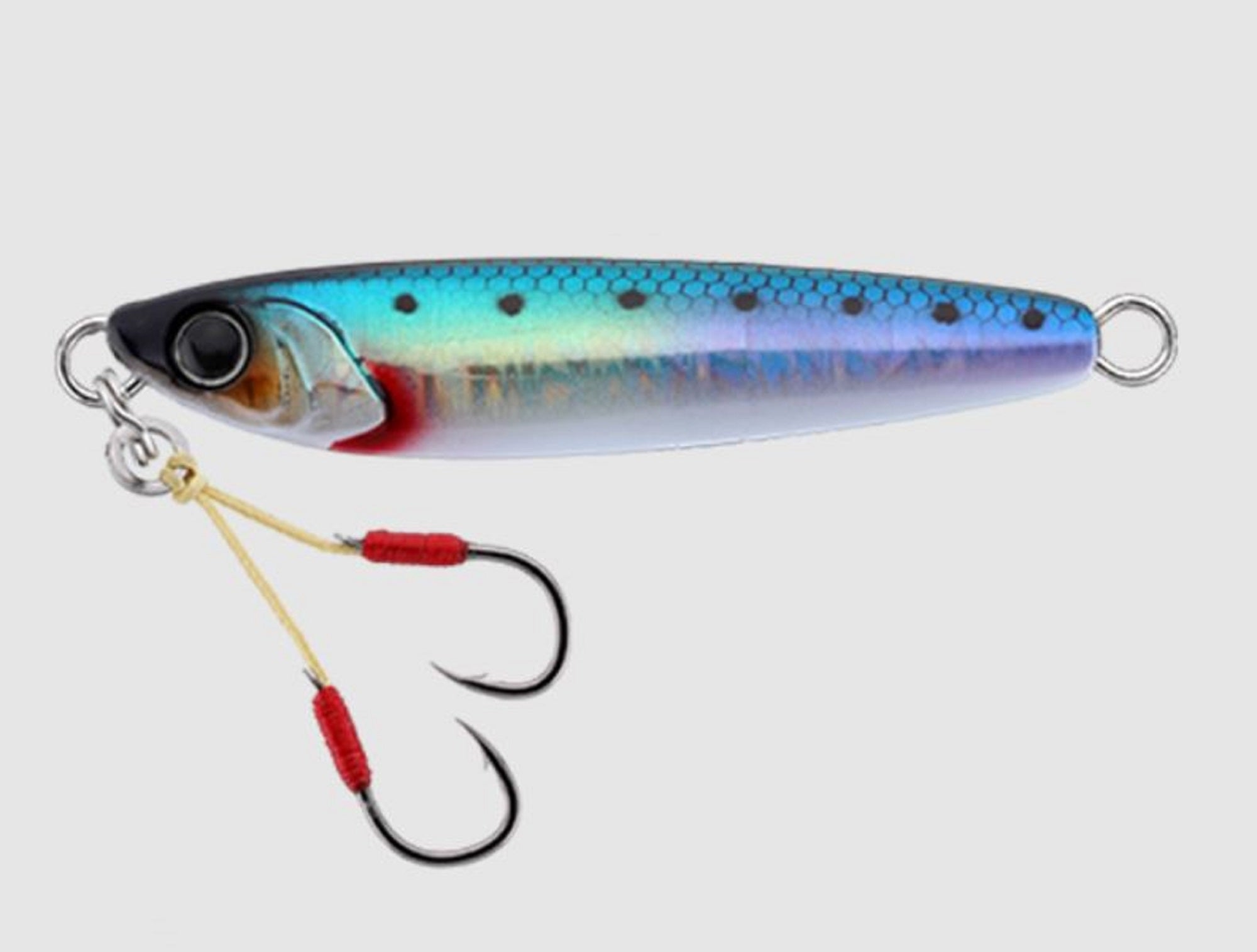 Jackall Metal Jig Raspateen TG Tungsten Neo 60 grams UV Iwashi HL (8531)