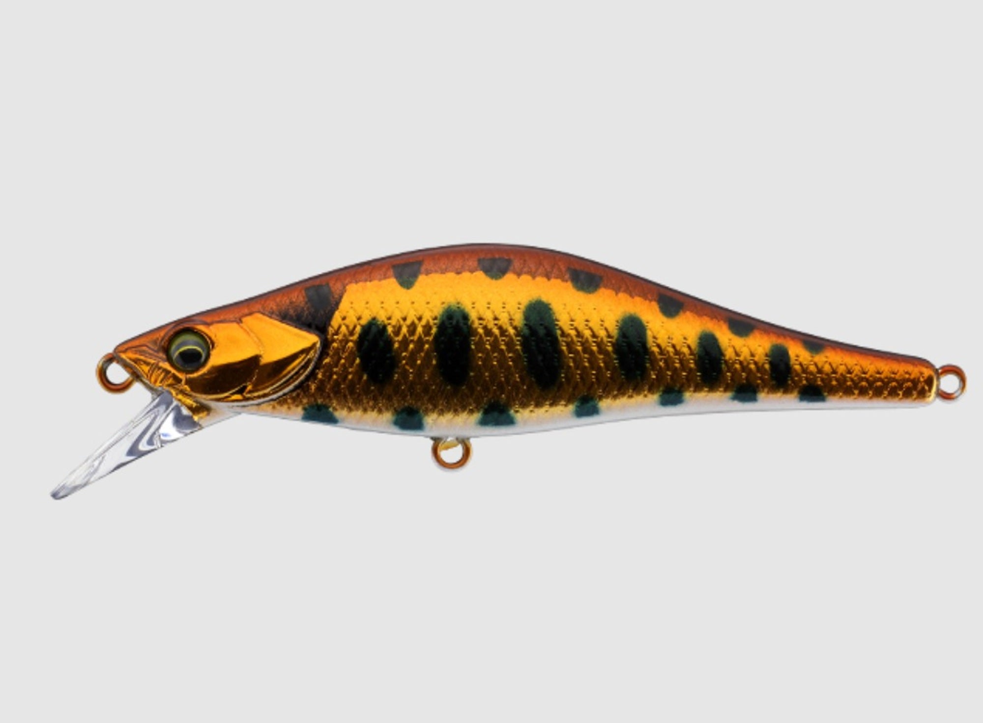 Jackall Timon Tricoroll Thin 61S Sinking Lure HL Copper Yamame (8462)