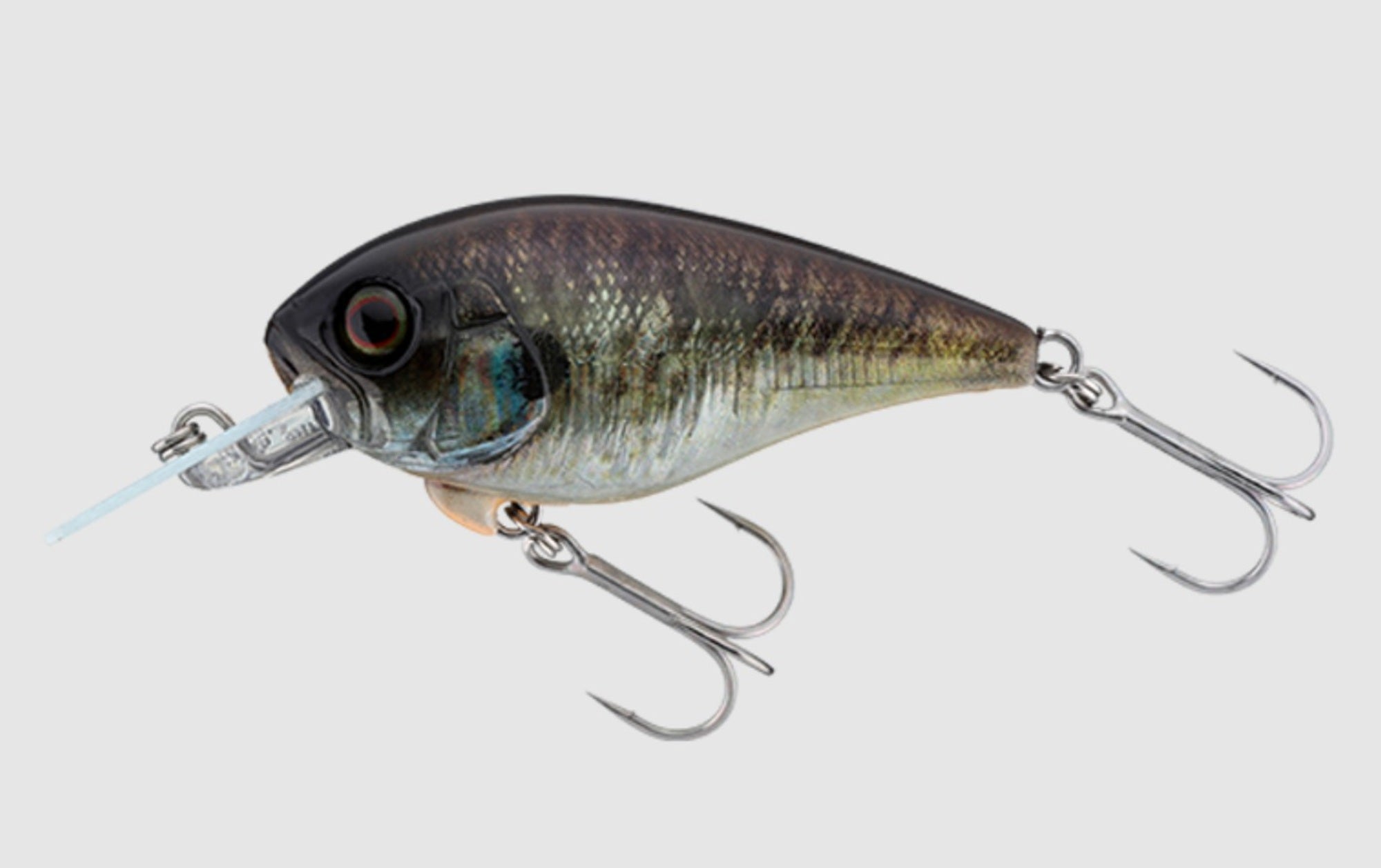 Jackall Master Crank 47SR Floating Lure RT Escape Gill (1226)