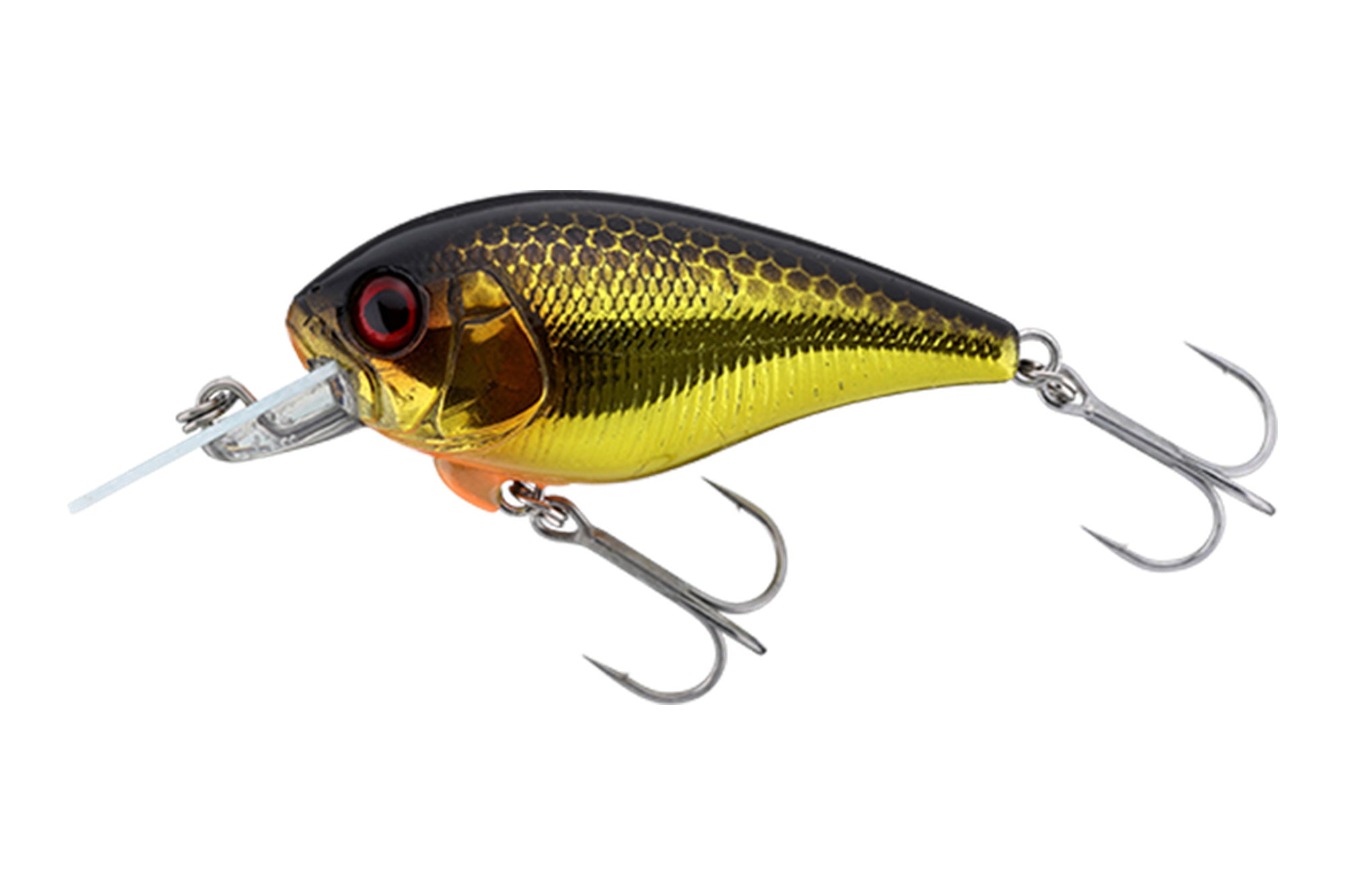 Jackall Master Crank 47MR Floating Lure HL Gold Black (1264)