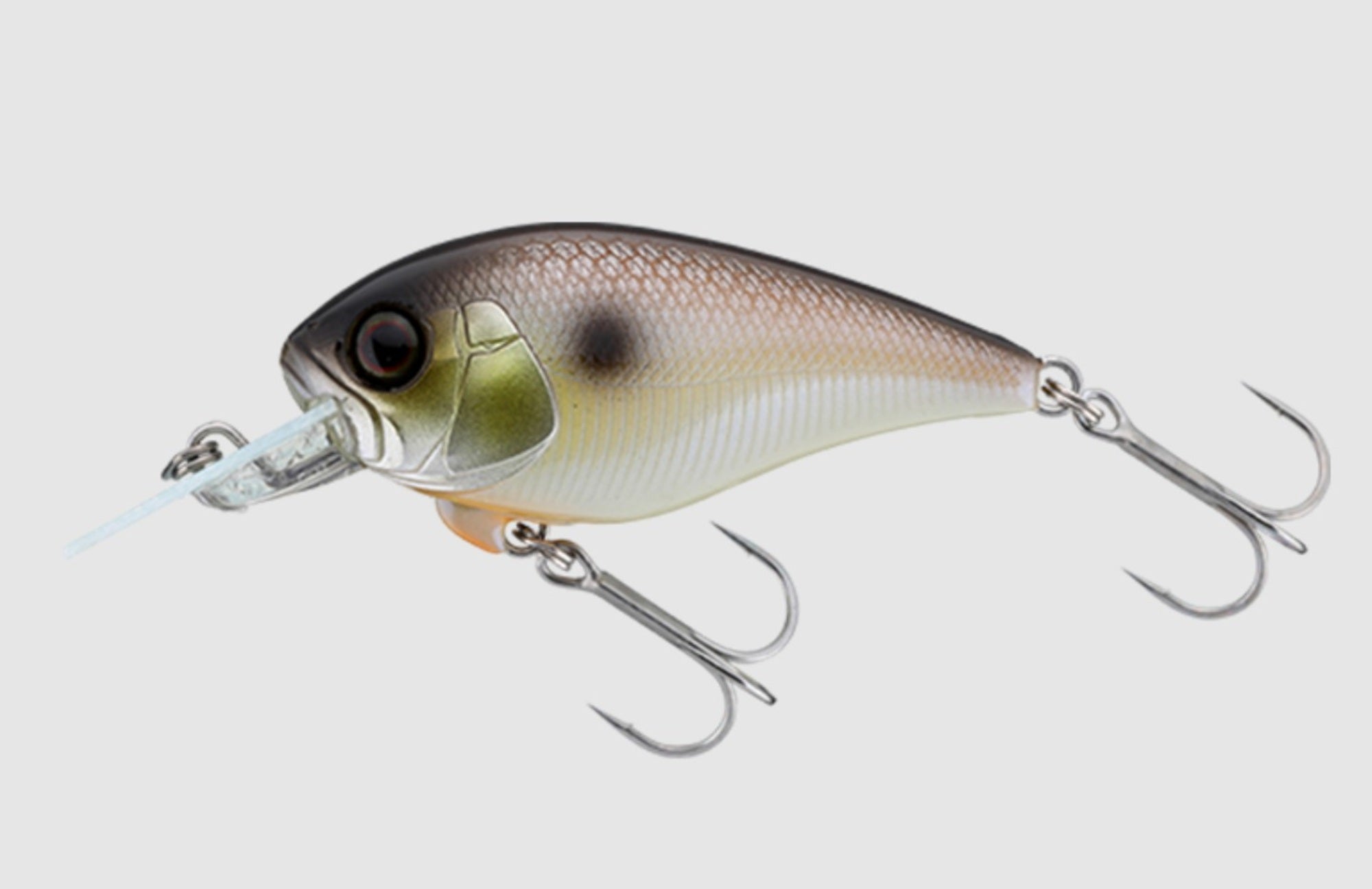 Jackall Master Crank 47MR Floating Lure Strike Pearl Shad (1295)