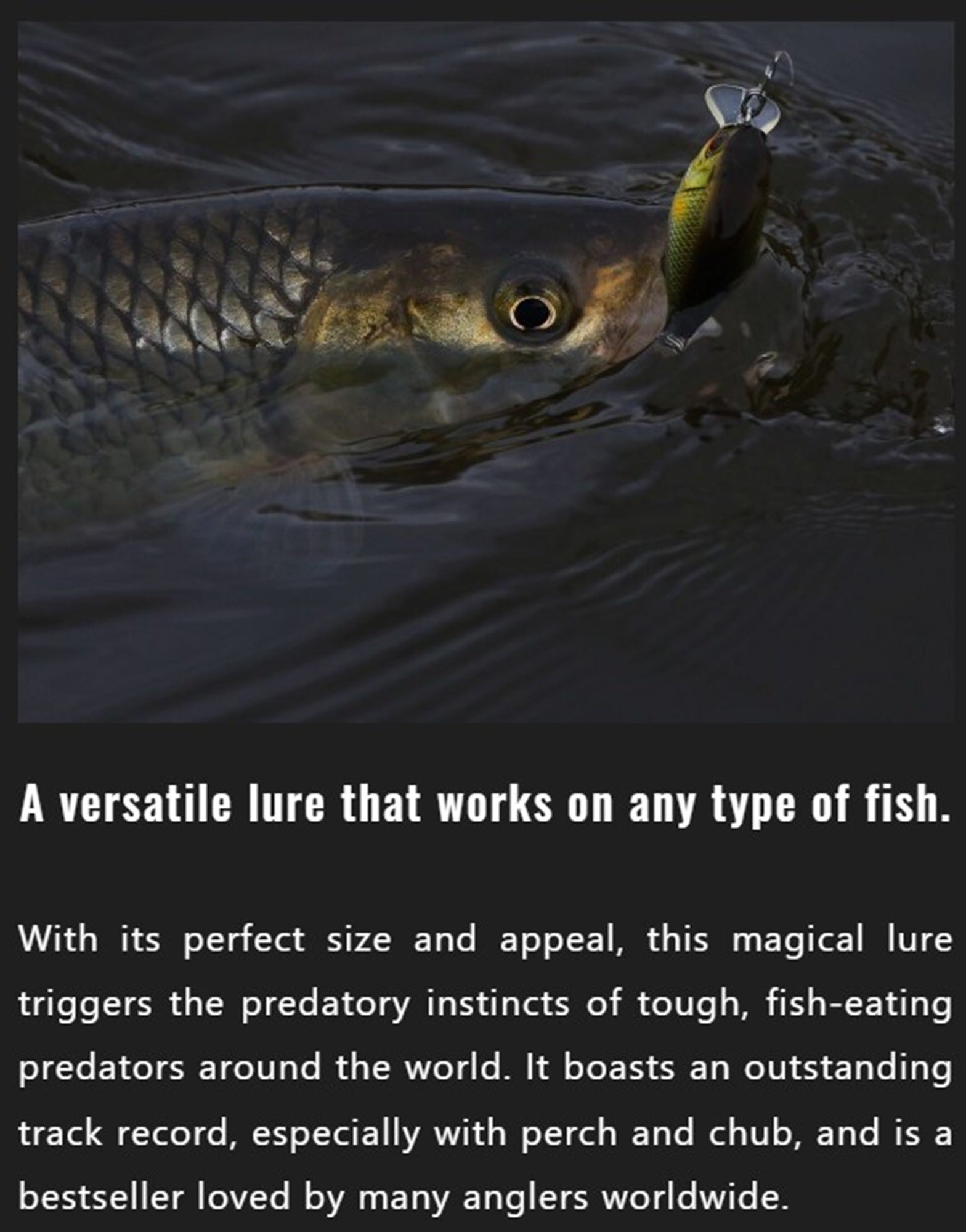 Jackall Chubby 41F SSR Floating Lure RT Caramel Bug (2025)