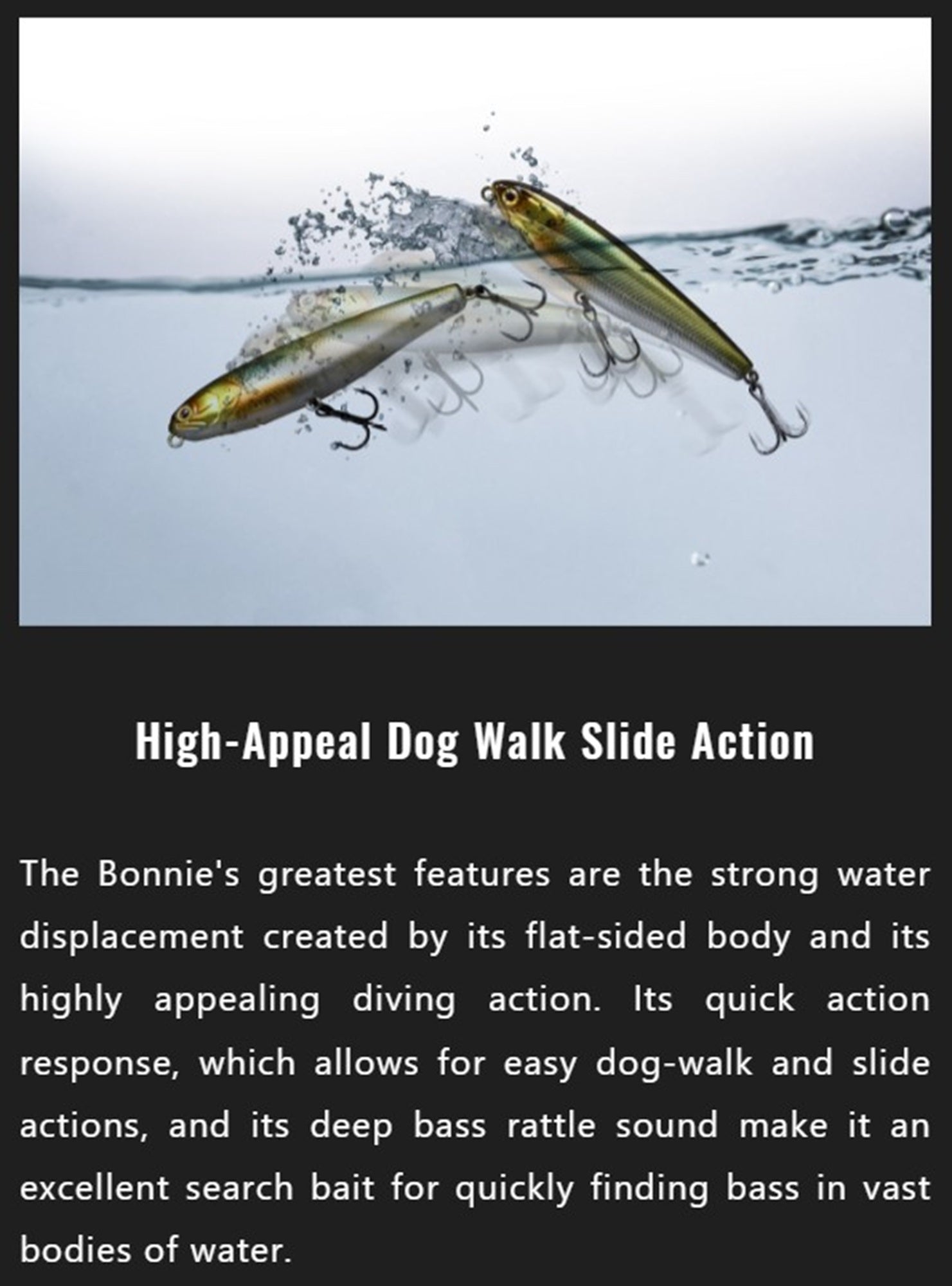 Jackall Bonnie 107 Floating Lure HL Silver & Black (2254)
