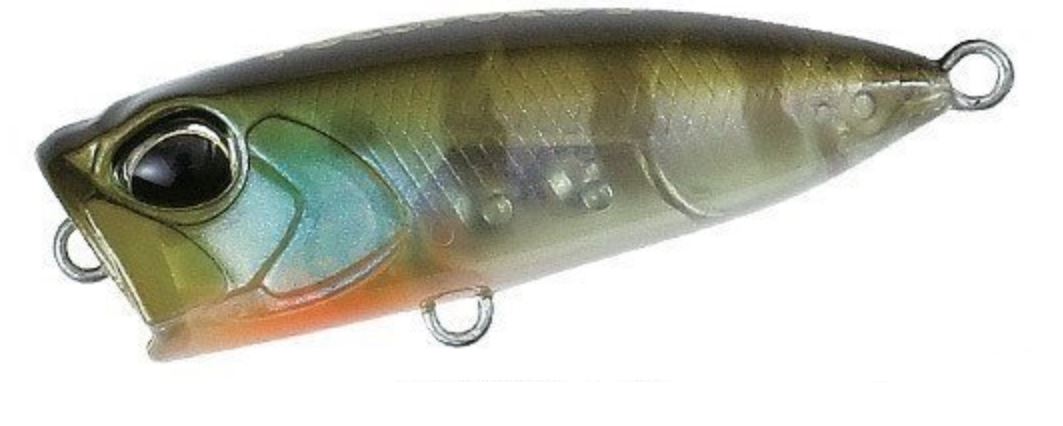 Lure Haven Singapore