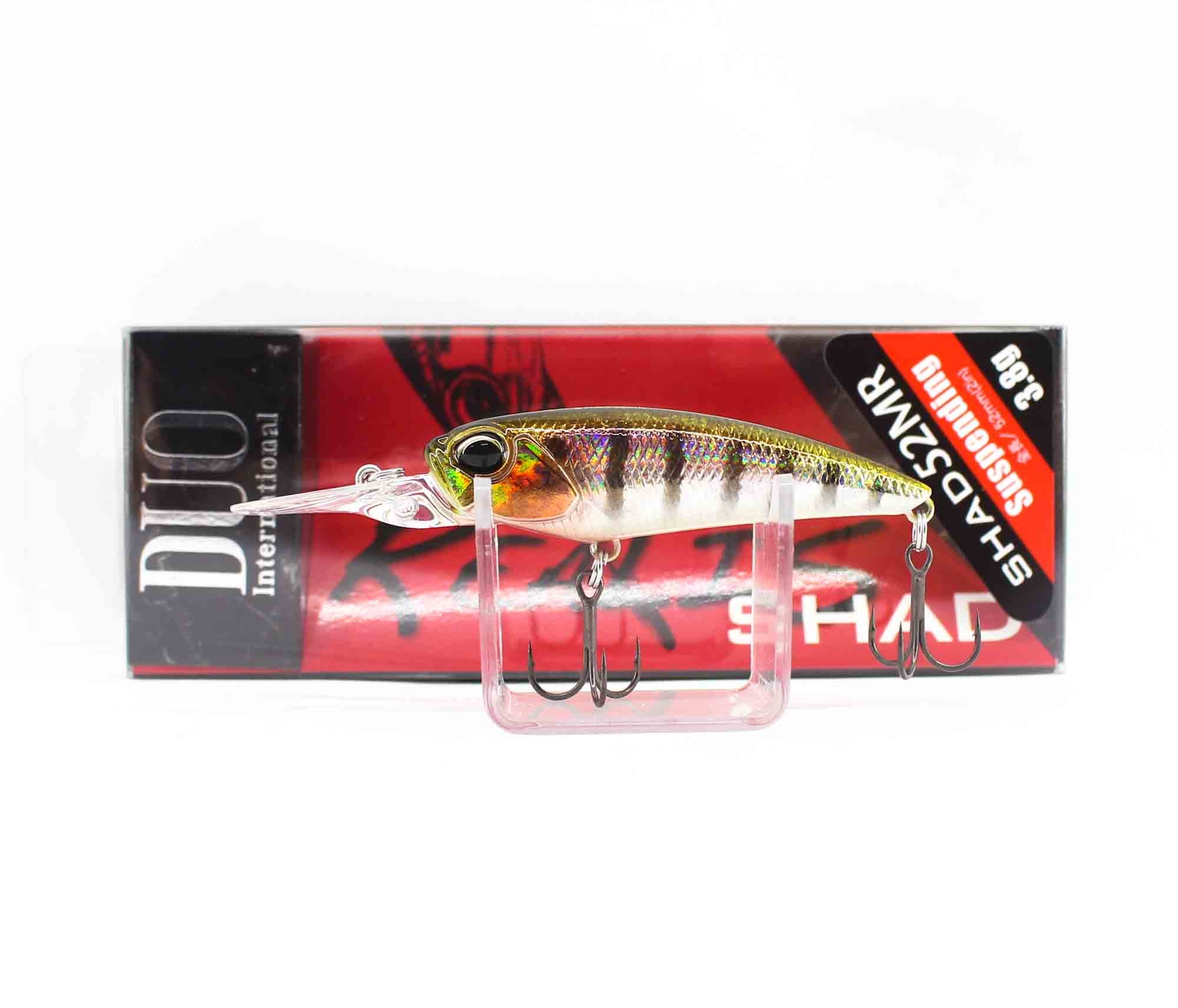 Lure Haven Singapore