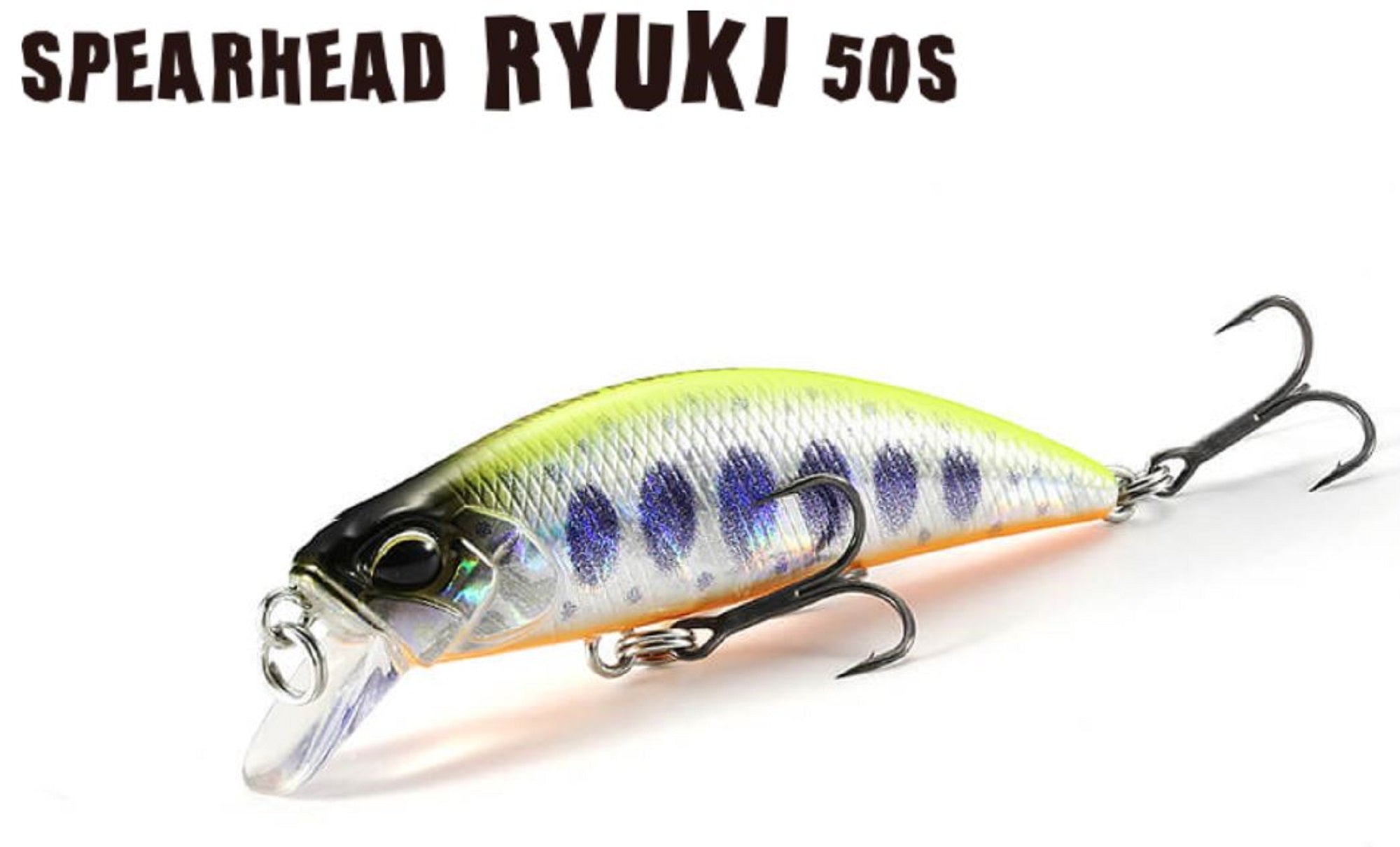 Lure Haven Singapore