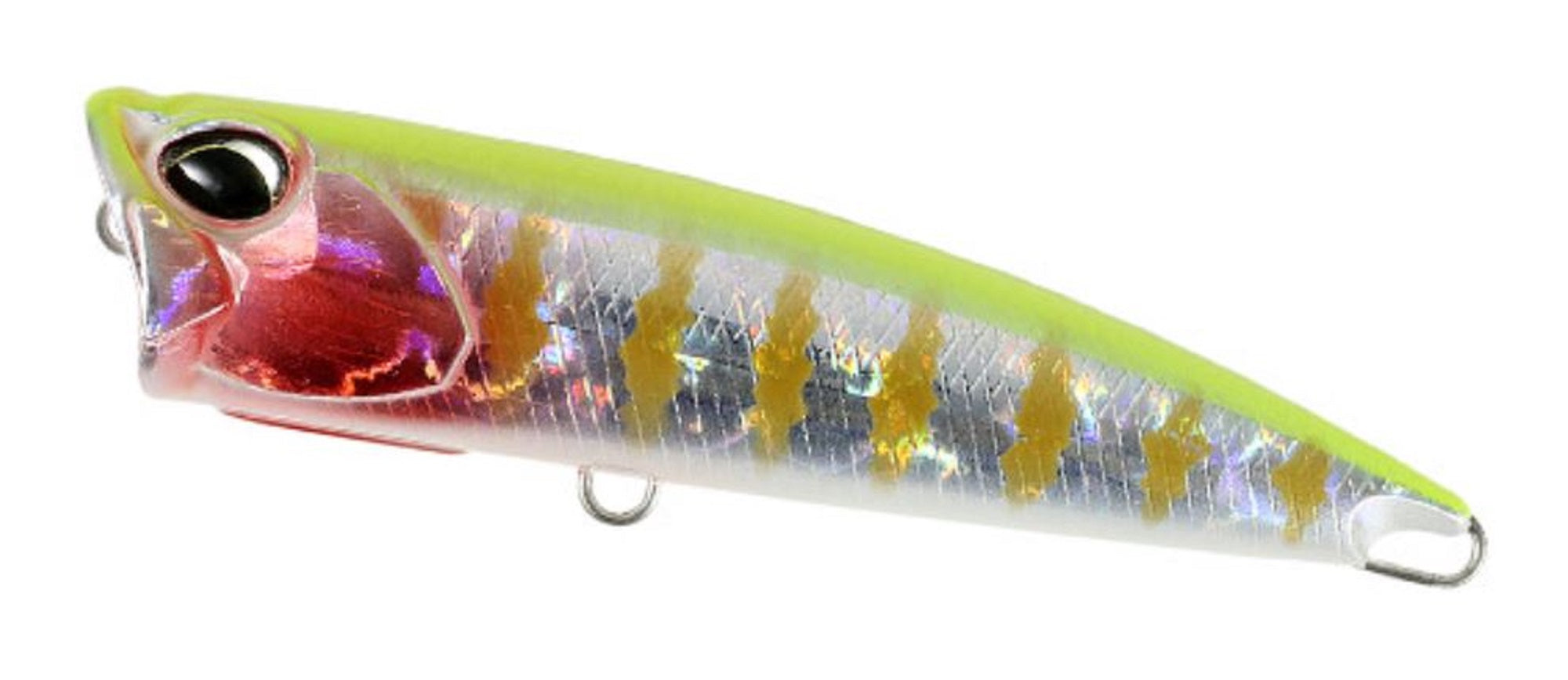 Lure Haven Singapore