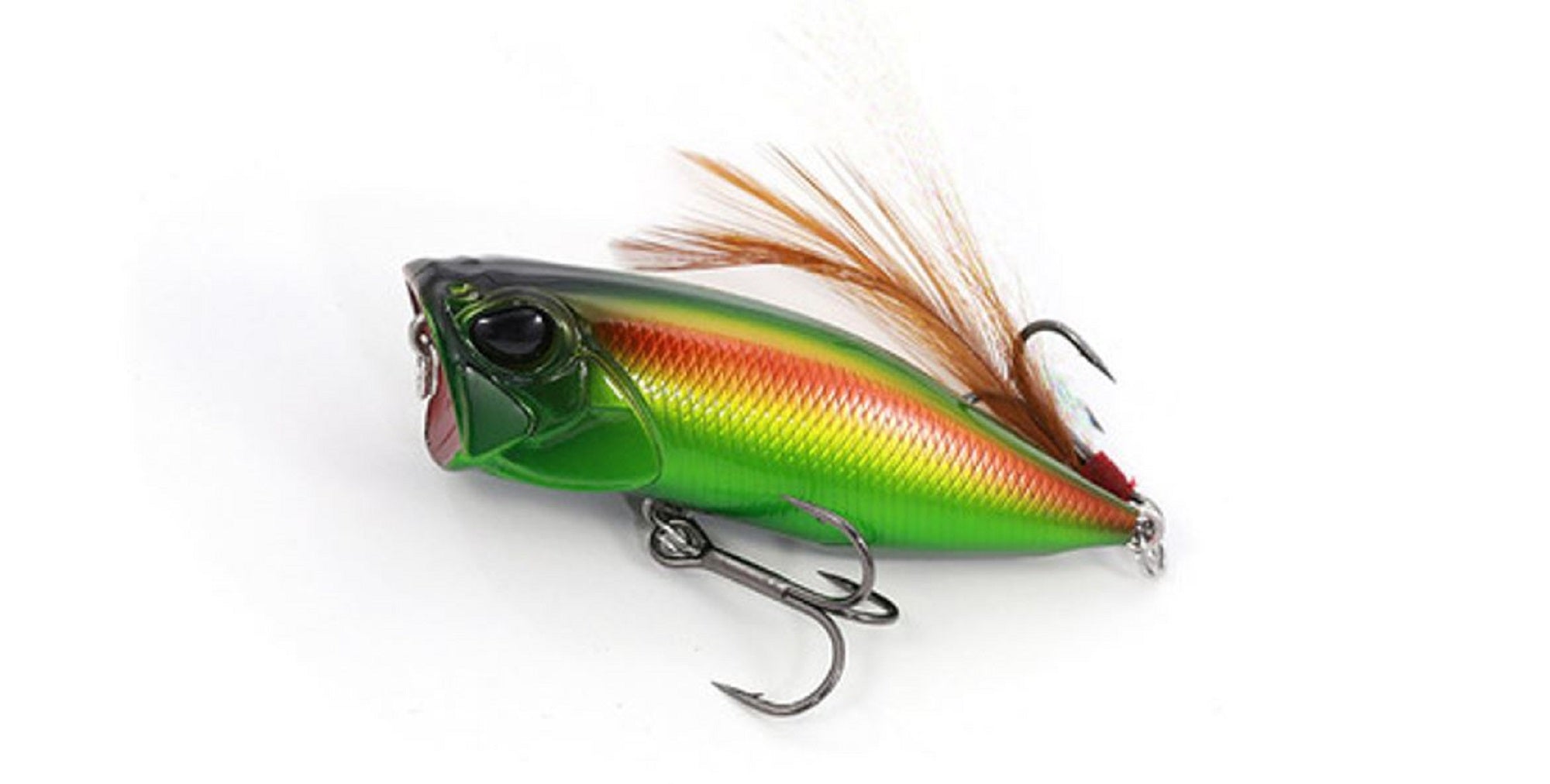 Lure Haven Singapore