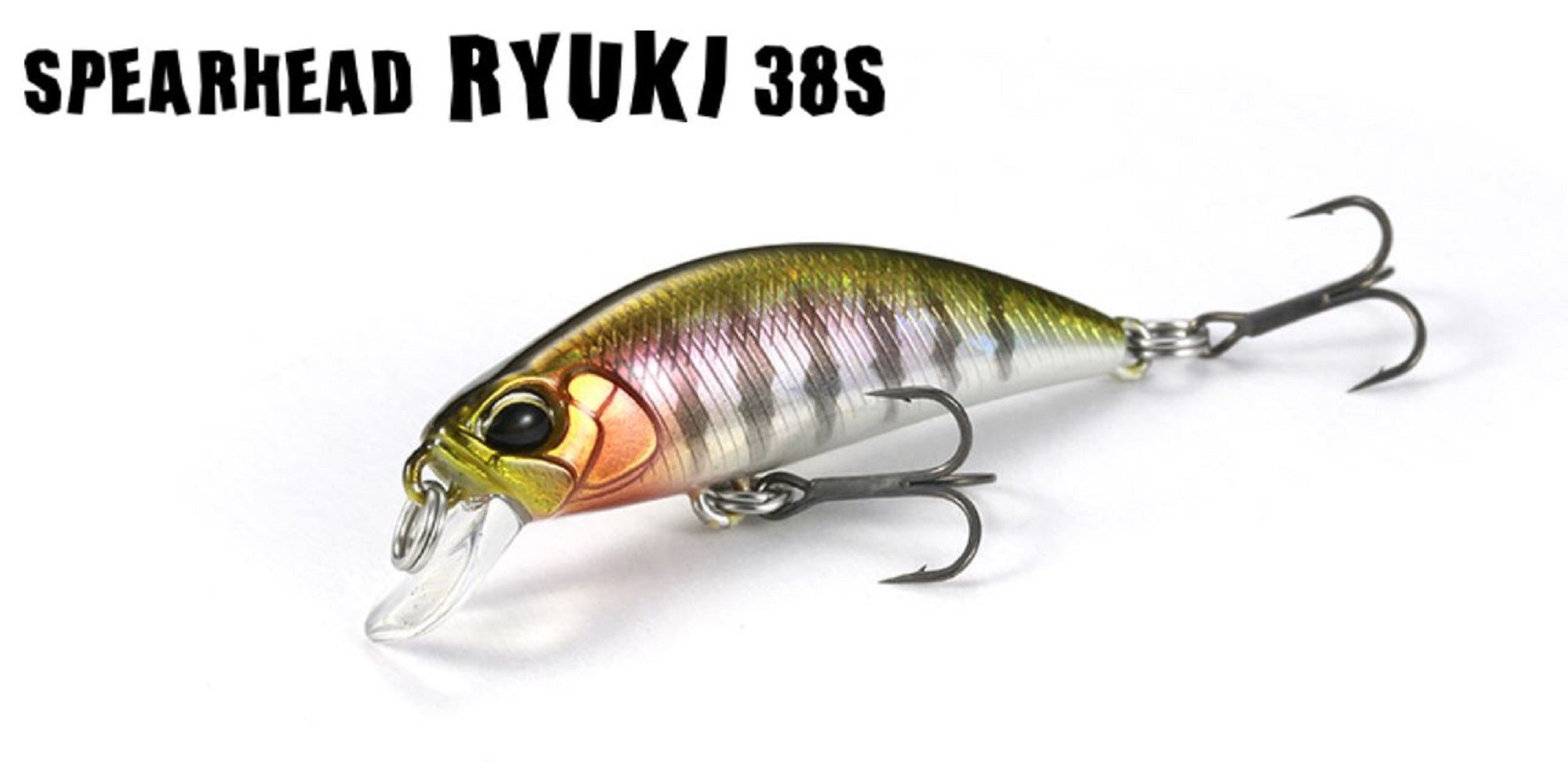 Lure Haven Singapore