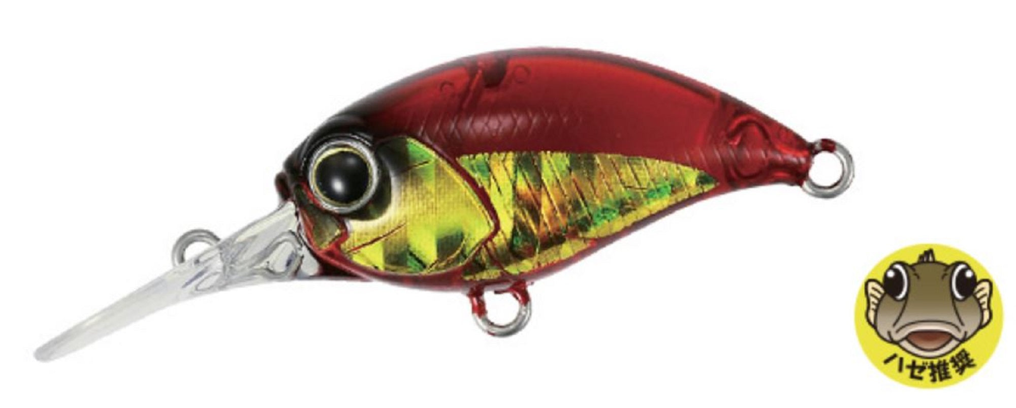 Lure Haven Singapore