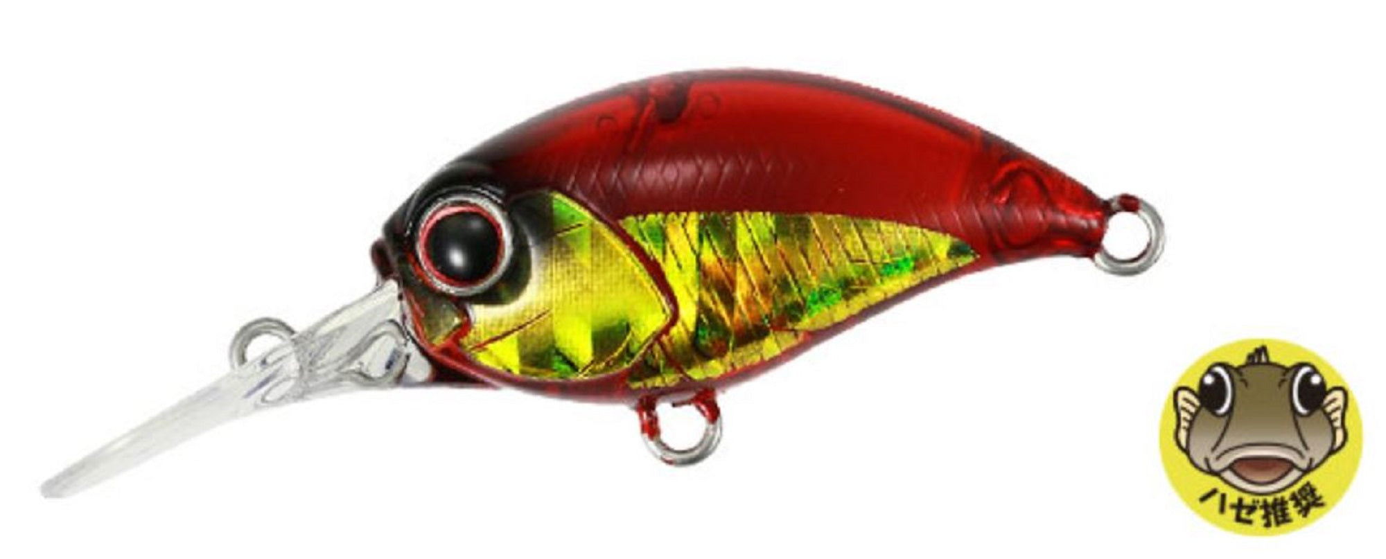 Lure Haven Singapore