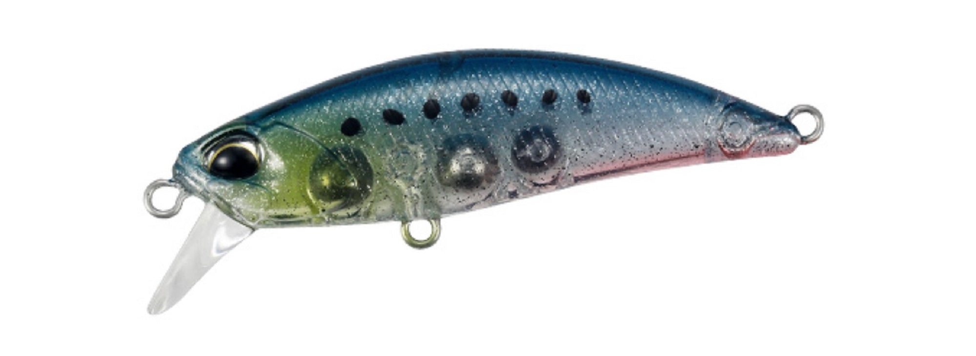 Lure Haven Singapore