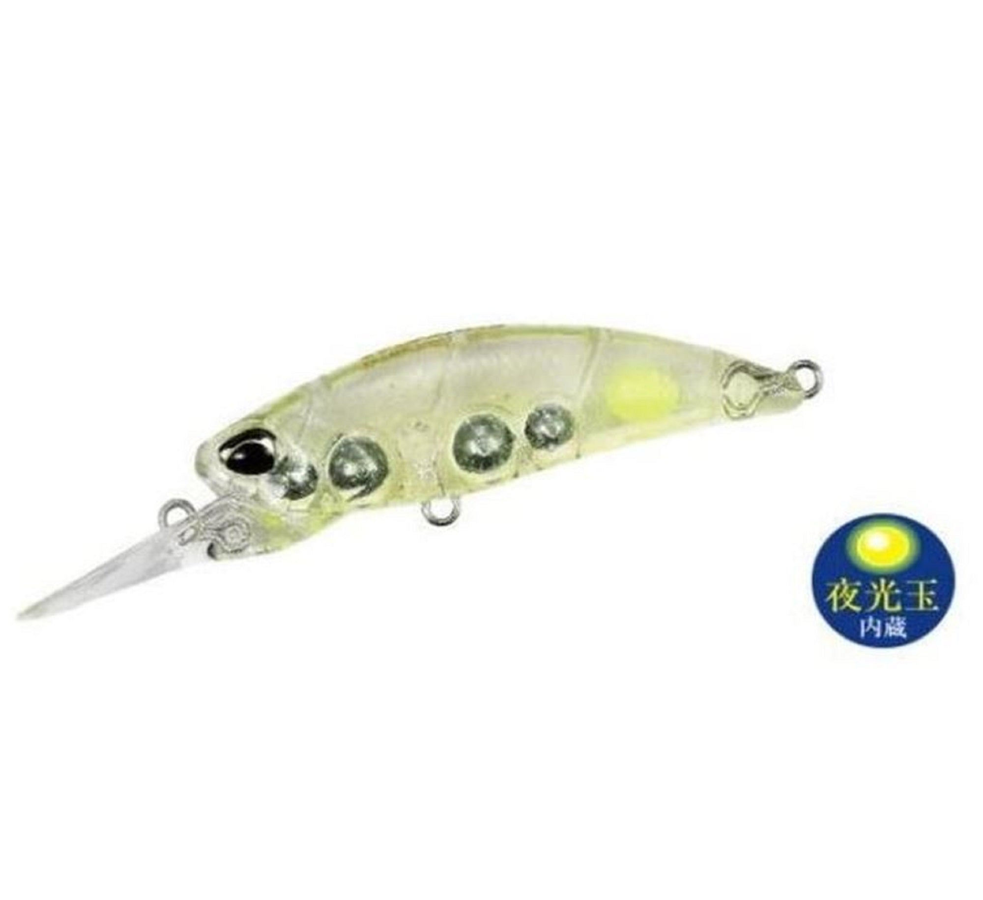 Lure Haven Singapore