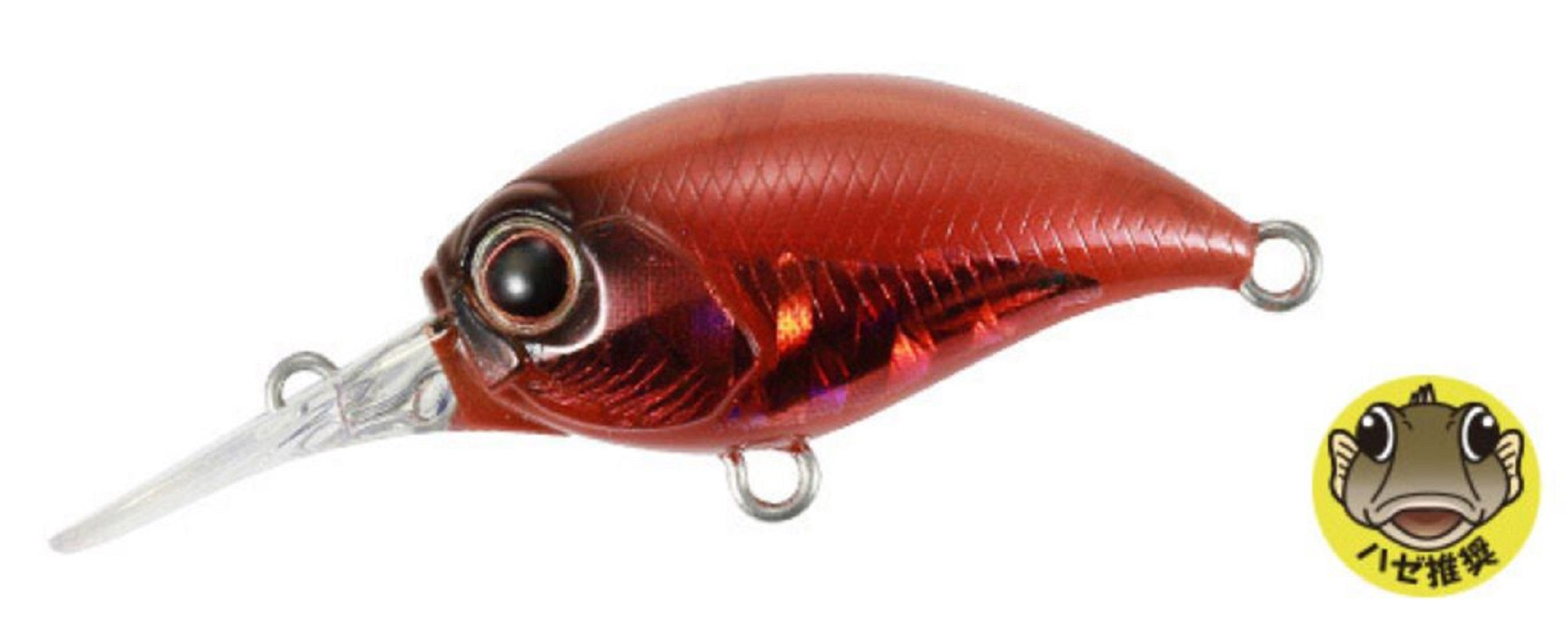 Lure Haven Singapore